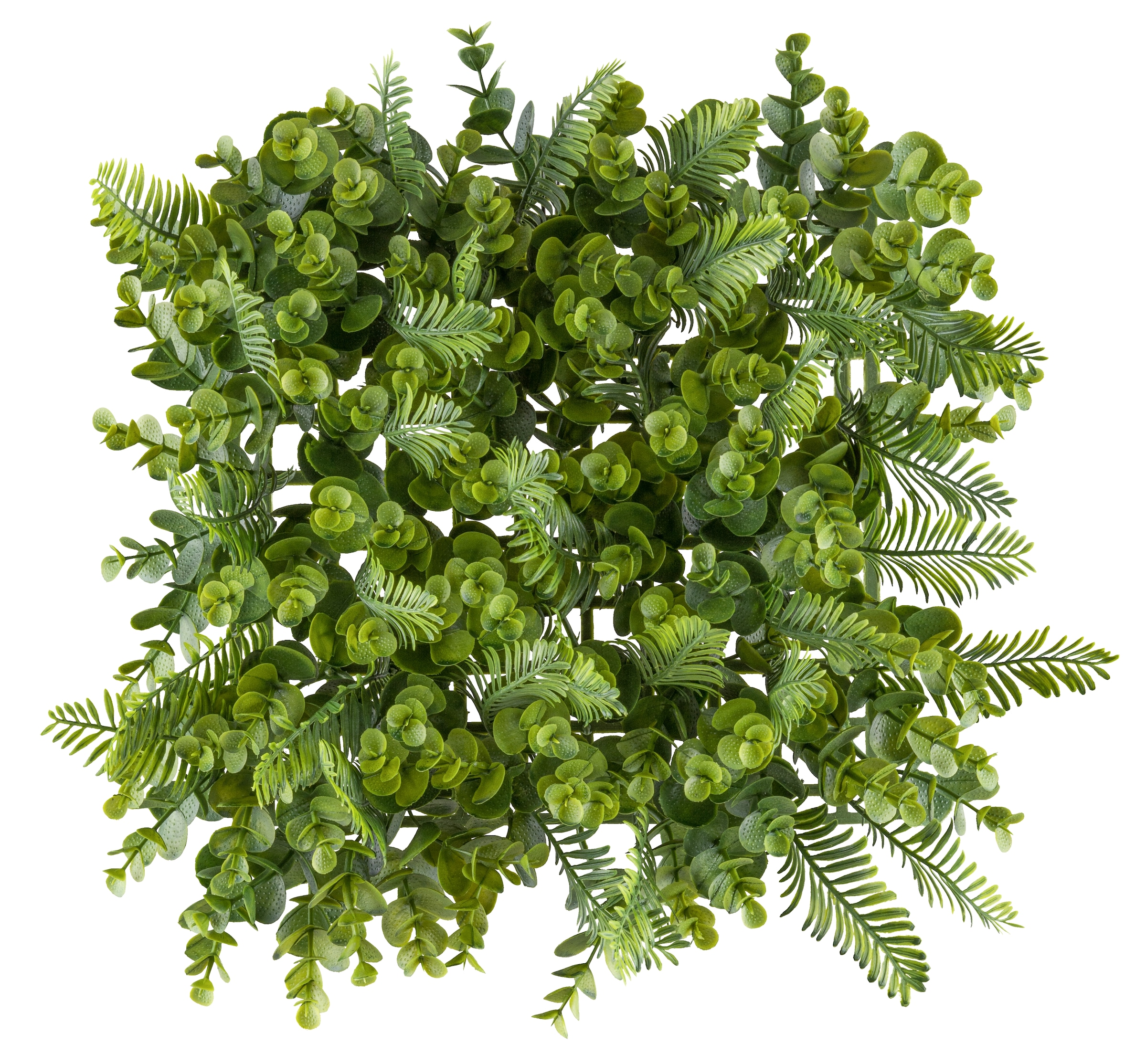 Creativ green Kunstpflanze »Wandmatte Eukalyptus-Farn«, als perfekte Wand-Deko