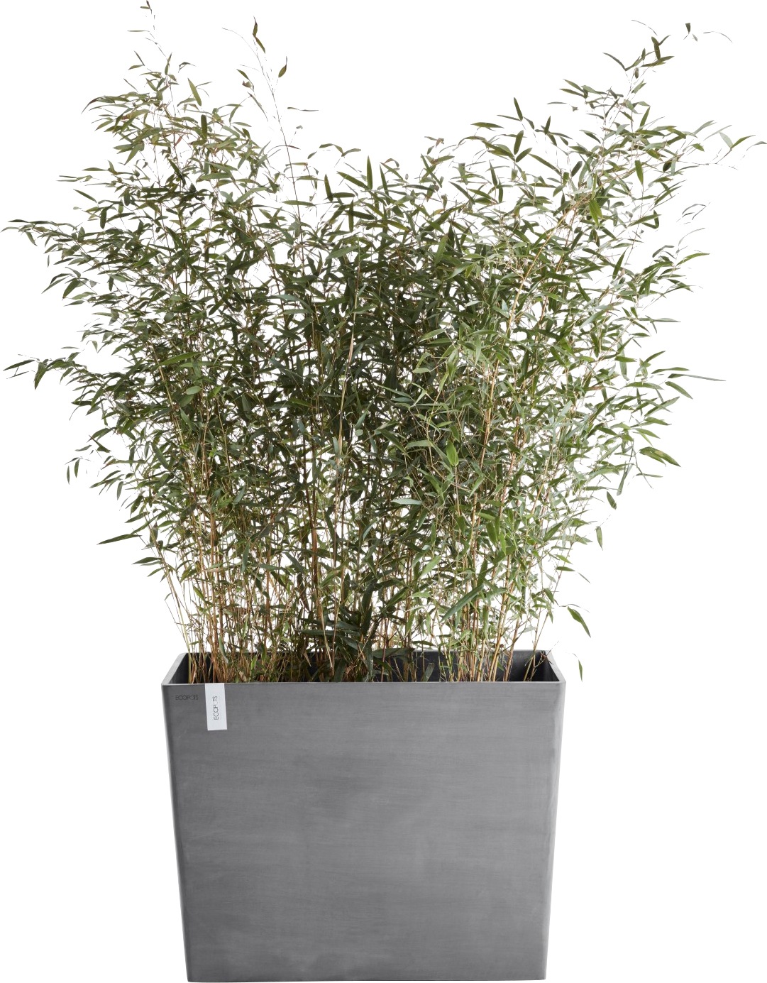 ECOPOTS 85x40x65 kaufen Grey«, »PARIS WHEELS BxTxH: Blumentopf cm online