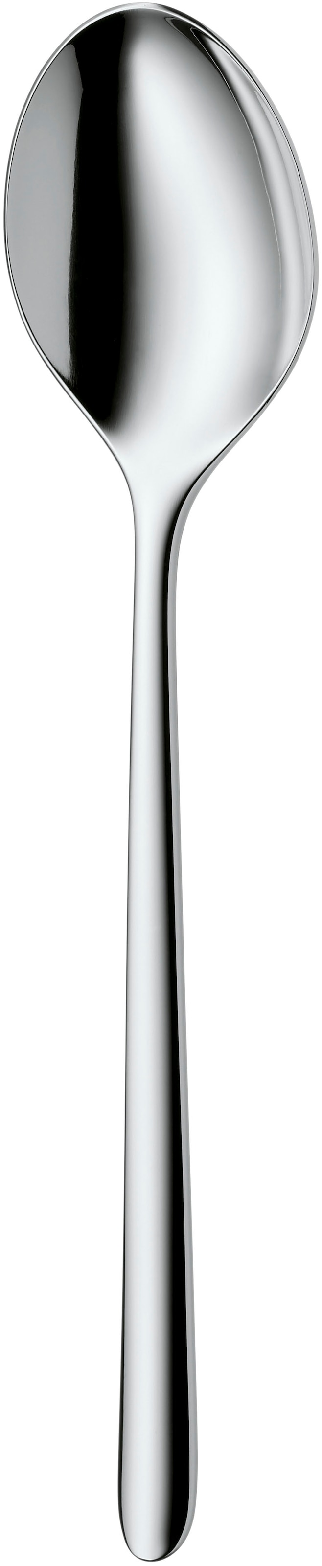 WMF Besteck-Set »Flame Plus«, (Set, 66 tlg.), ergonomisch, Cromargan protect