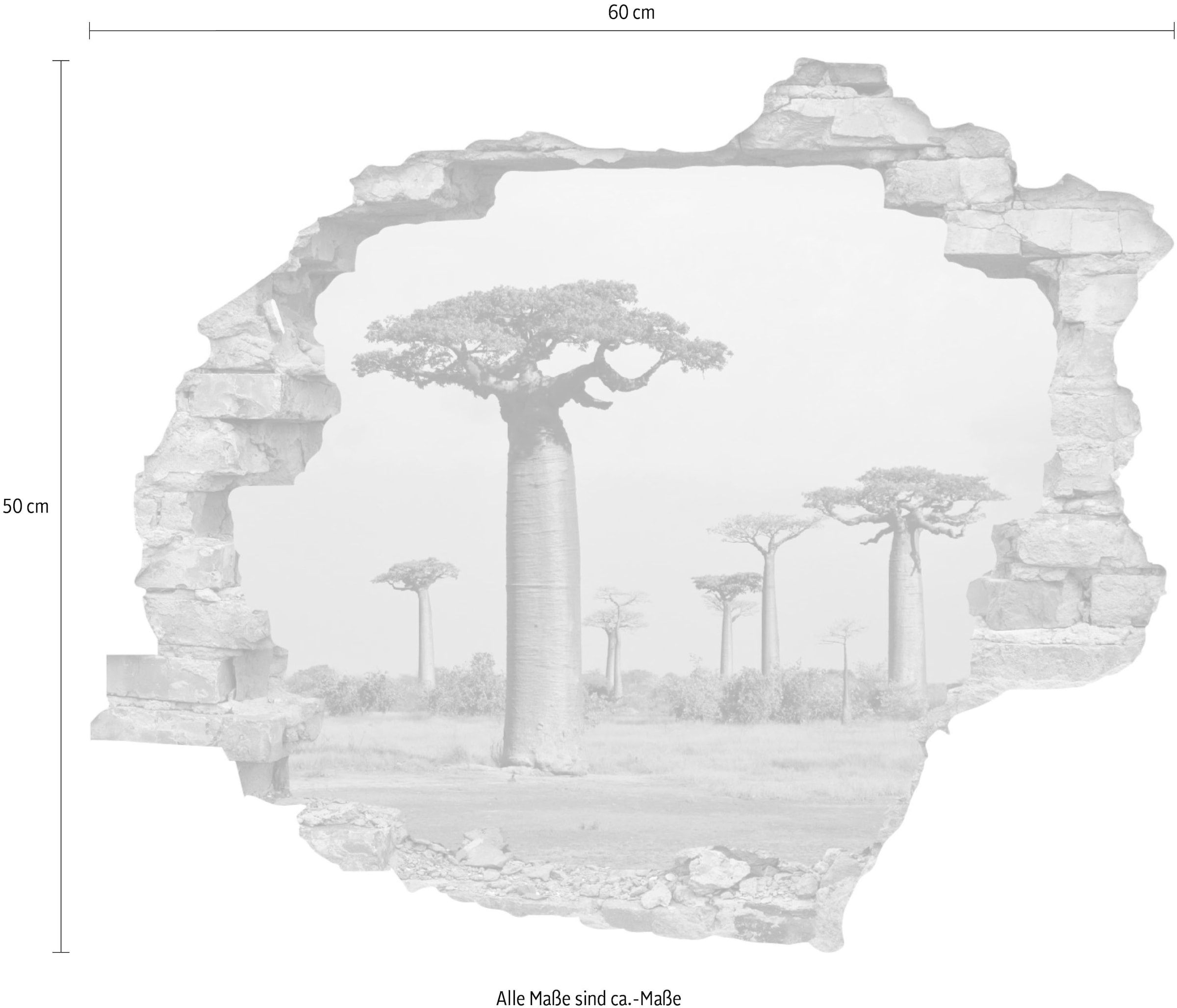 queence Wandtattoo »Affenbrotbaum« Wandsticker, Wandbild, selbstklebend, 3D, Wanddurchbruch