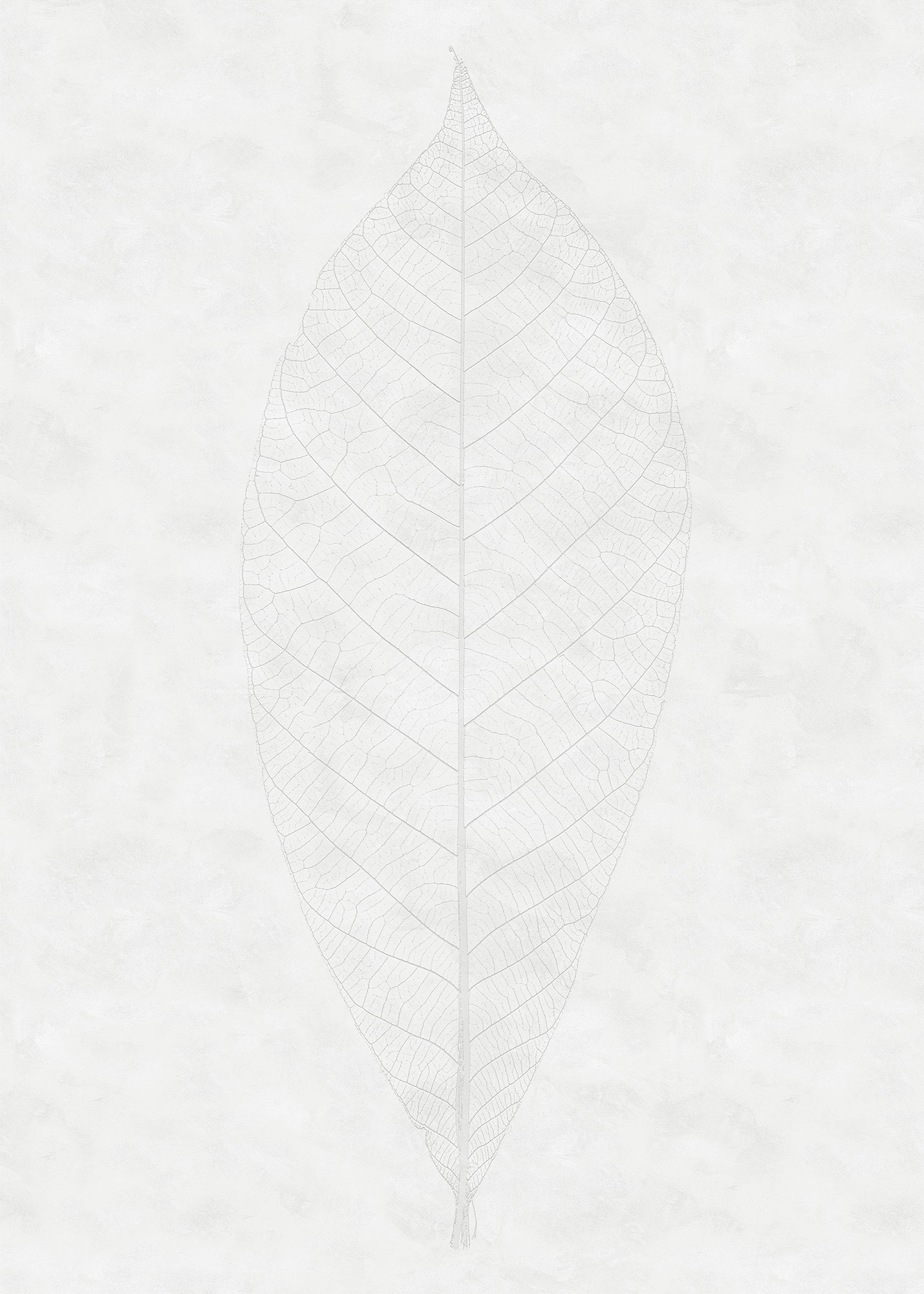 Komar Fototapete Vlies Decent Leaf  200 x 280 cm günstig online kaufen