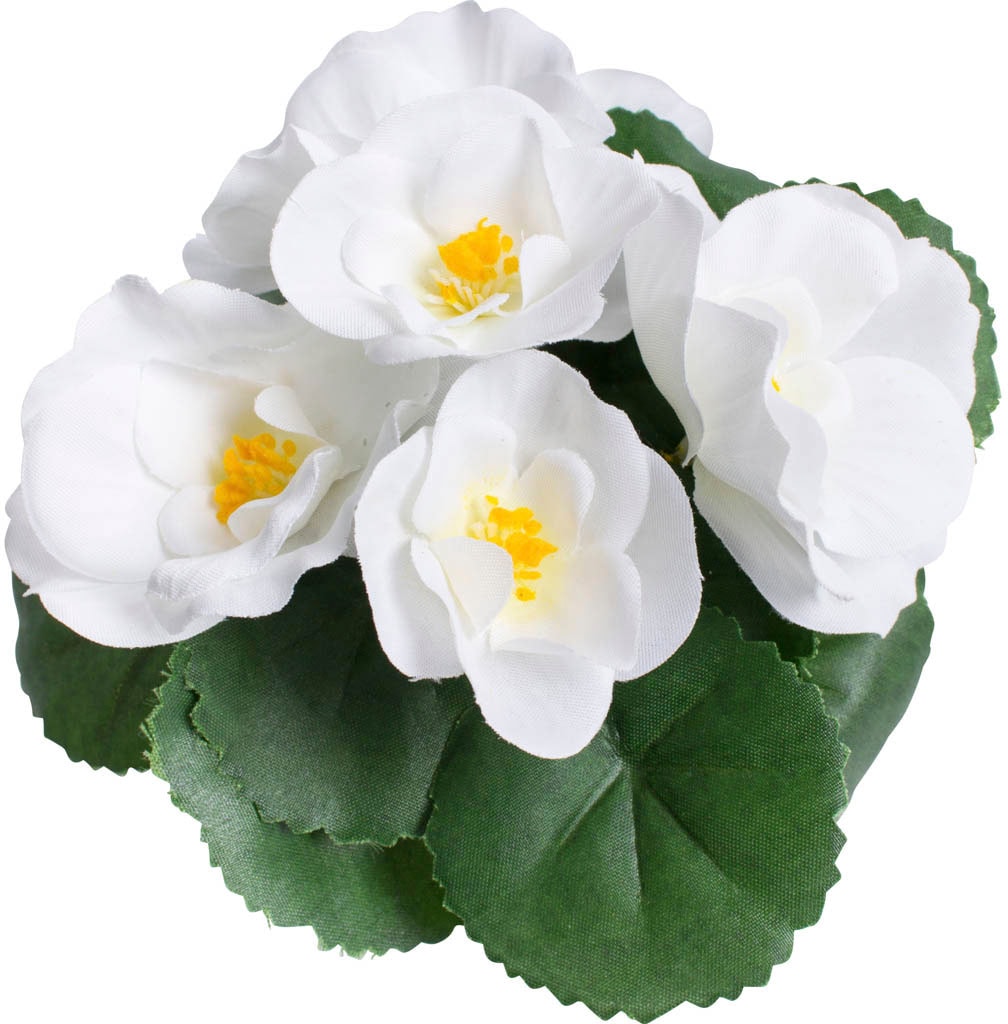Botanic-Haus Kunstblume »Frühlingsblume«