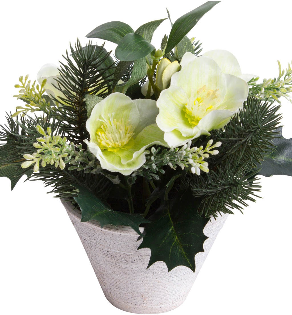 kaufen auf Topf« Raten Botanic-Haus Zimmerpflanze Künstliche »Christrosen-Tannen-Arrangement im