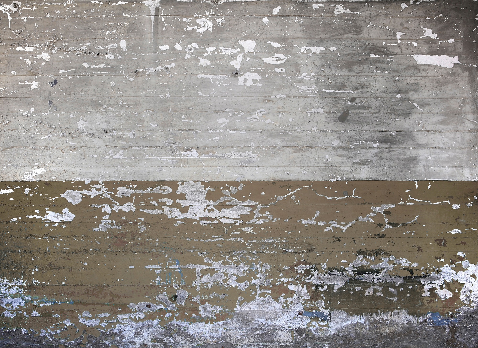 living walls Fototapete »Designwalls Concrete Coated« glatt Vlies, Wand, Sc günstig online kaufen