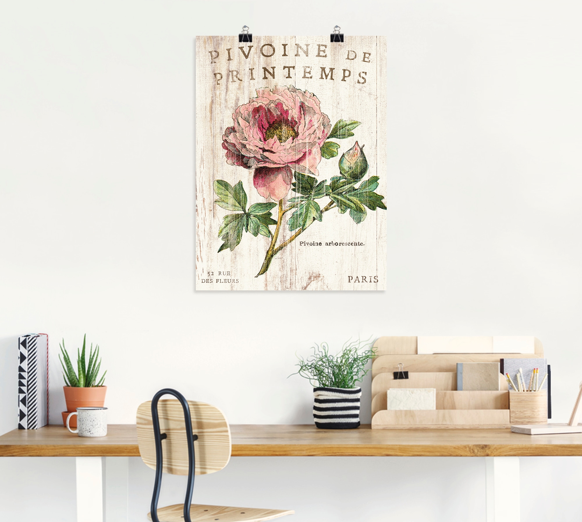 Artland Poster »Pfingstrose« Blumen 1 Stk. tlg. ohne Rahmen