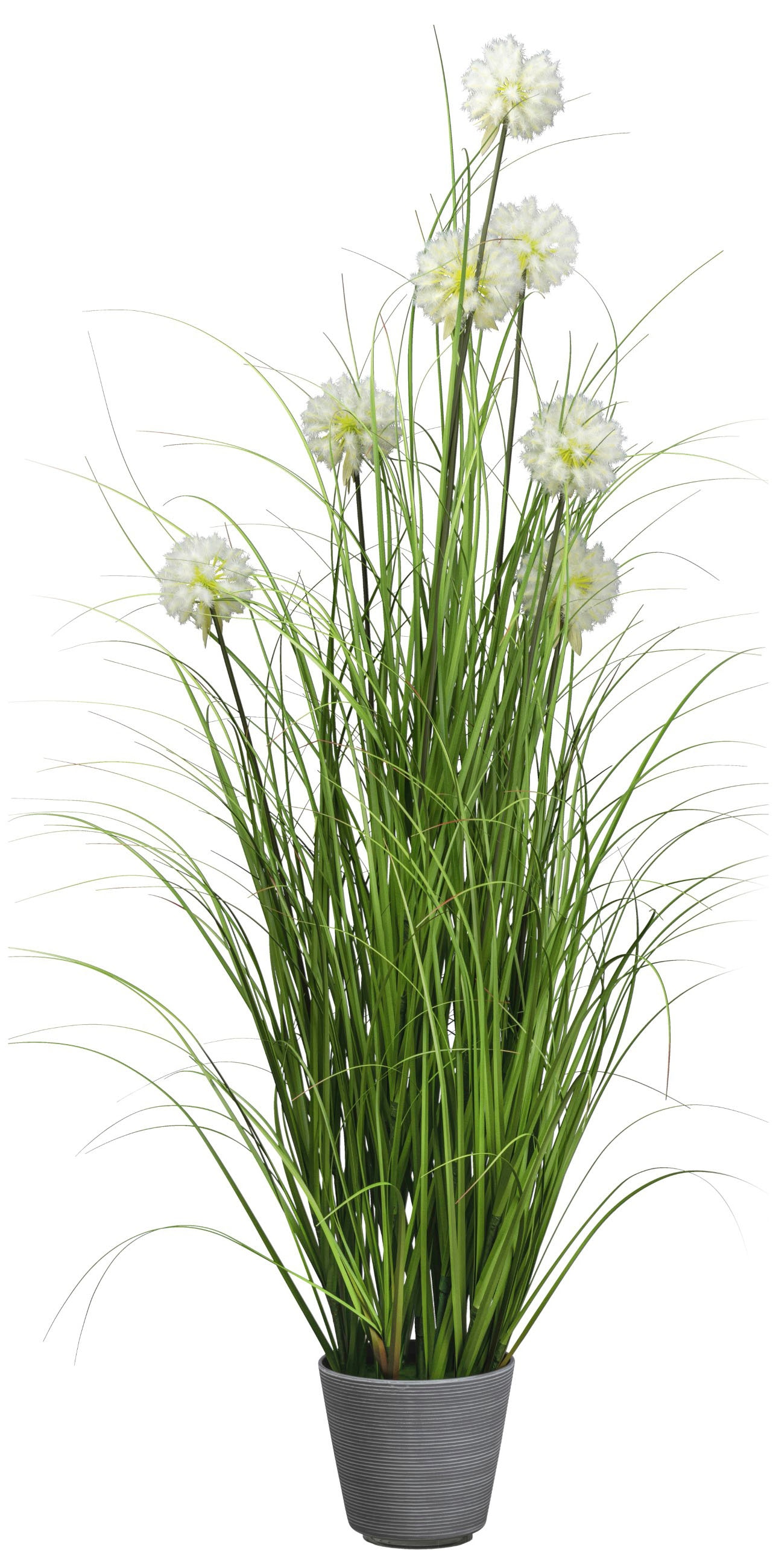 Creativ green Kunstgras »Grasbusch mit Pusteblumen«, im attraktiven Pflanzg günstig online kaufen
