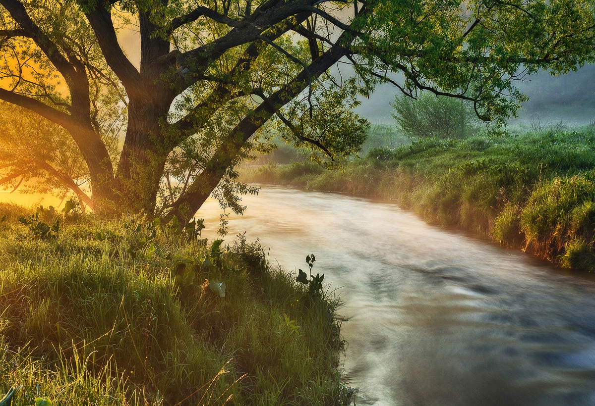 Papermoon Fototapete »Fluss am Baum« günstig online kaufen