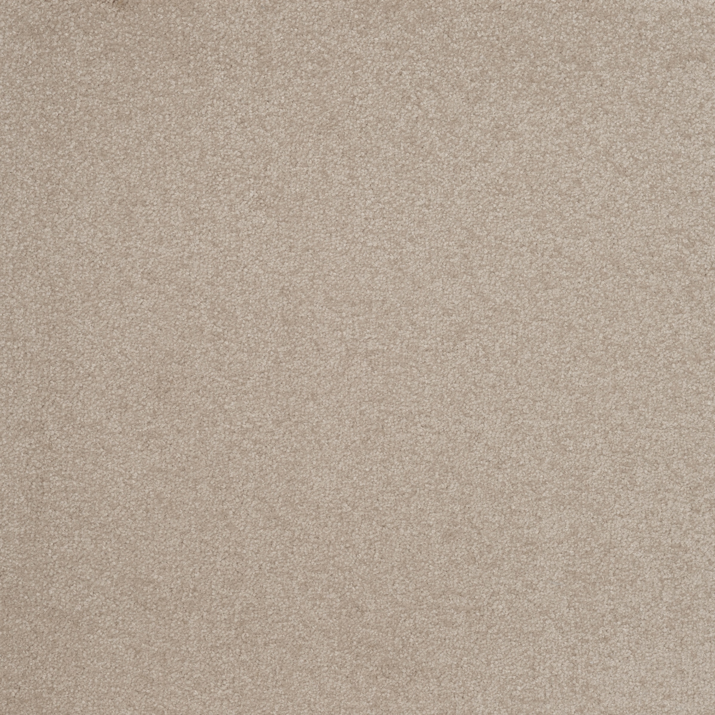 Infloor Teppichfliese »Velour Holzoptik Eiche m², schnell 4 natur«, bestellen Stück, 100 geeignet für und bequem rechteckig, 25 x selbsthaftend, cm, Stuhlrollen 14
