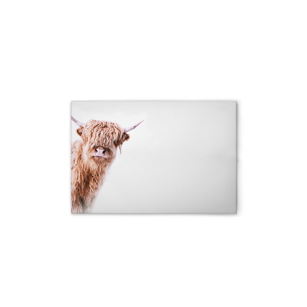 A.S. Création Leinwandbild »Highland Cattle 2 - Wandbild Weiß Braun Keilrah günstig online kaufen