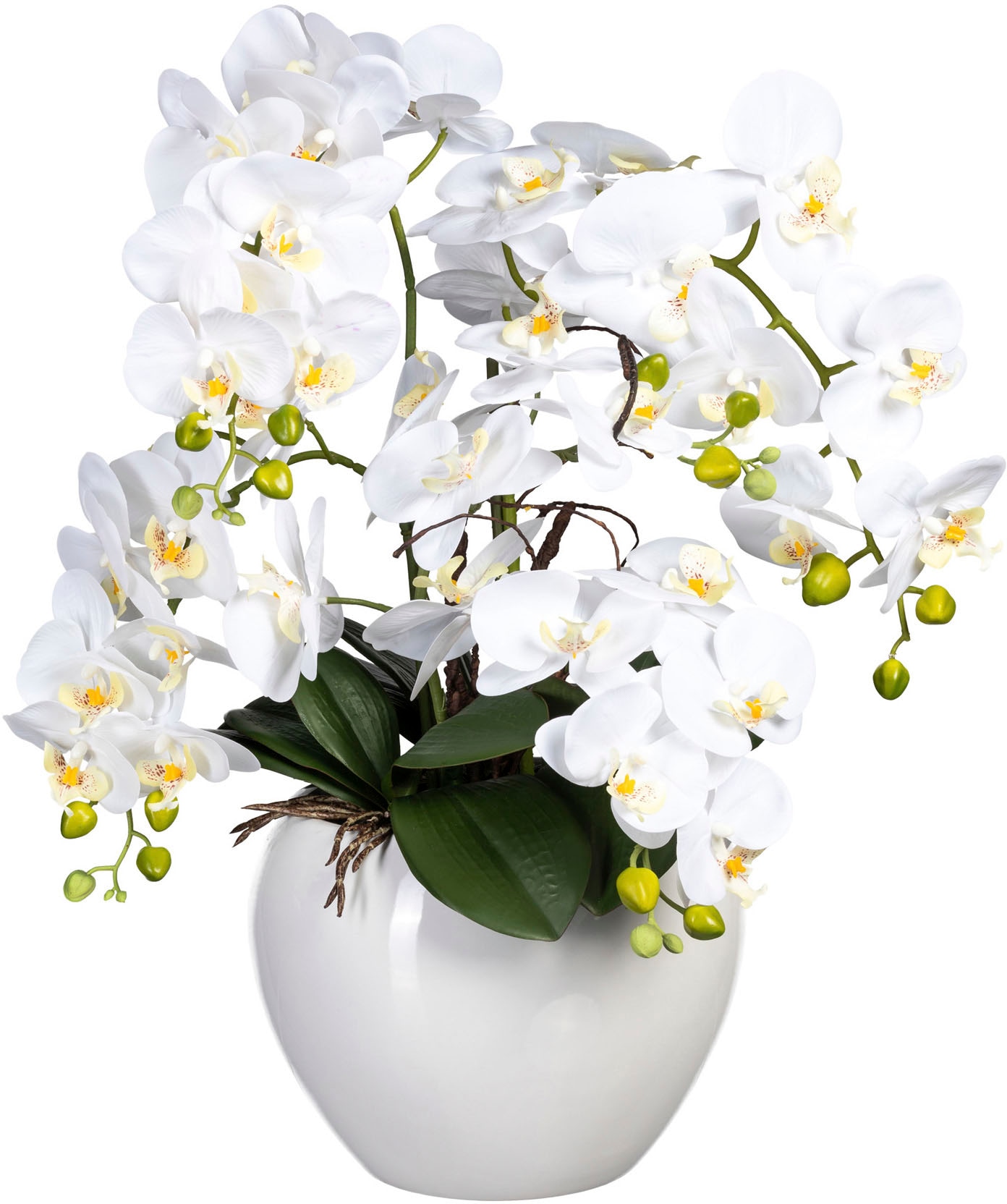 Creativ green Kunstorchidee »Phalaenopsis im Keramiktopf«