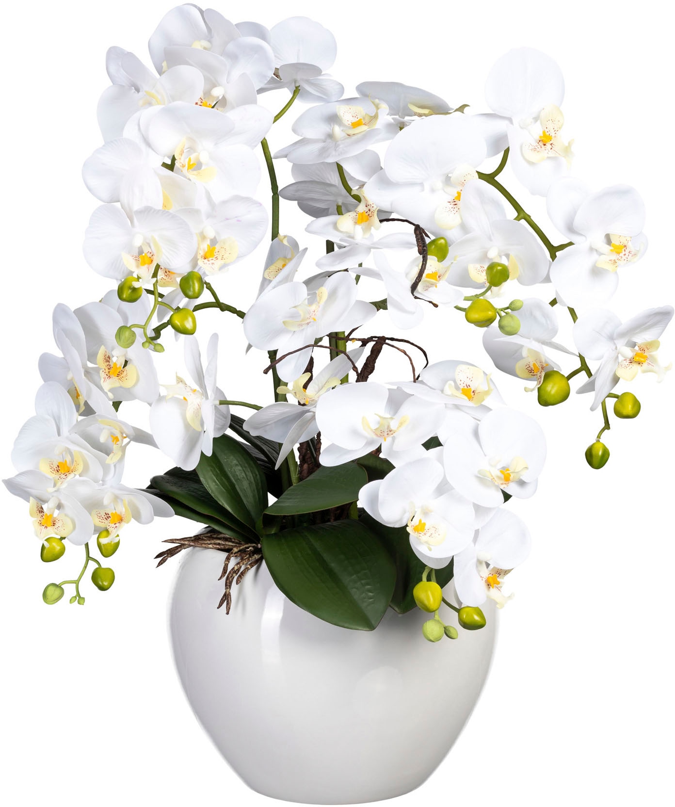 Creativ green Kunstorchidee »Phalaenopsis im Keramiktopf« günstig online kaufen