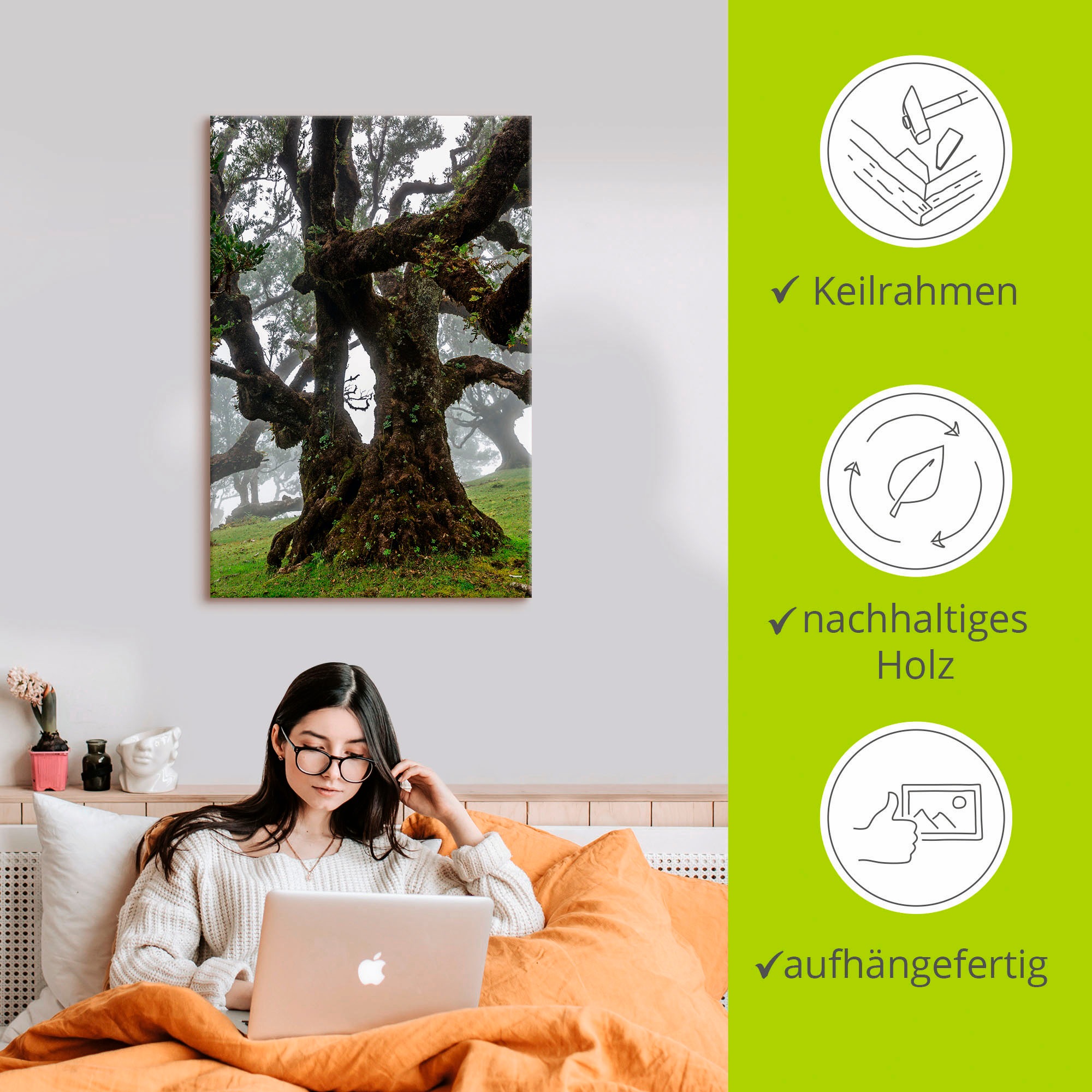 Artland Wandbild »Alter Lorbeerbaum«, Bäume, (1 St.), als Leinwandbild, Poster in verschied. Größen