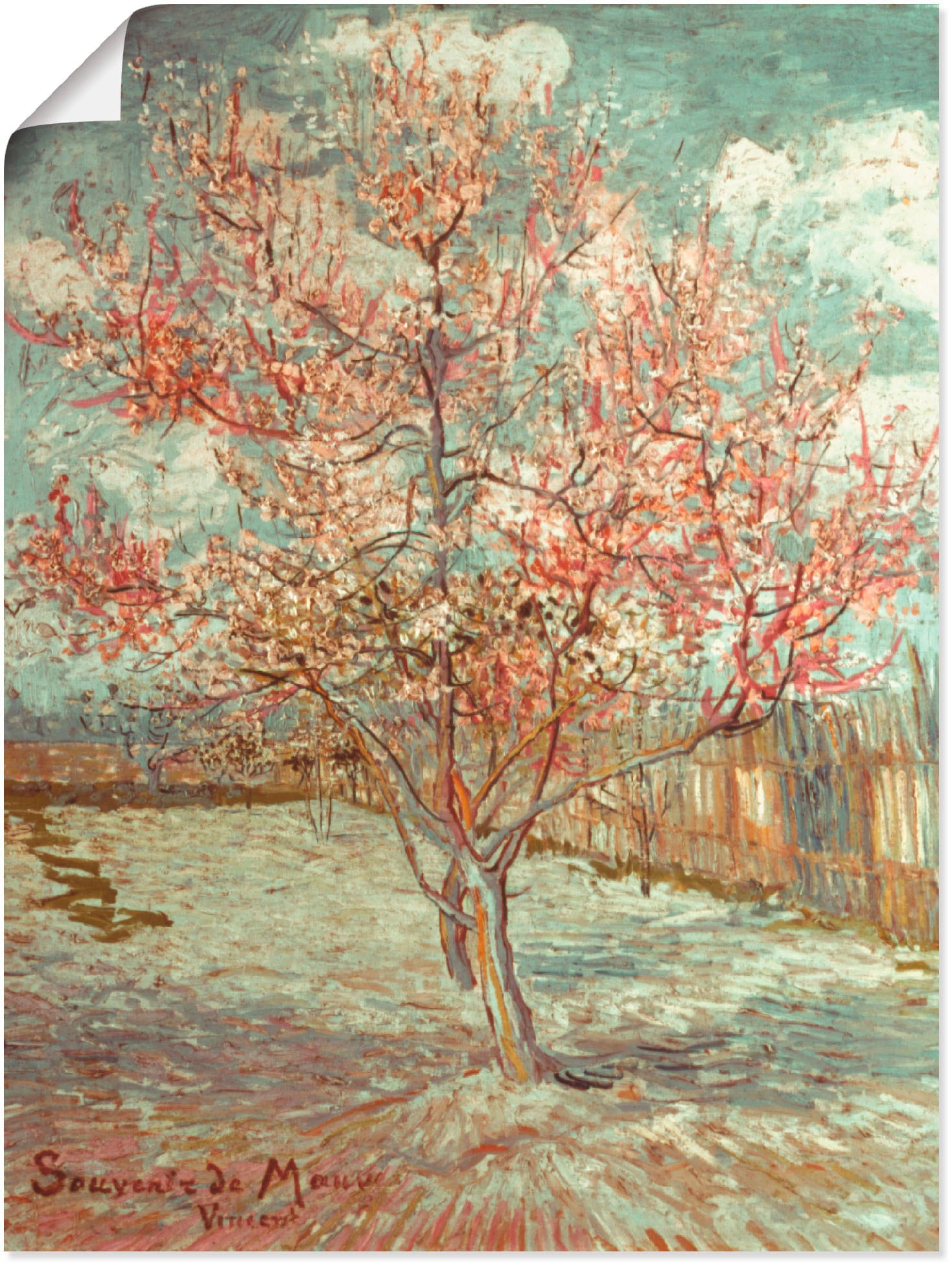 Artland Wandbild »Blühender Pfirsichbaum, 1888«, Wiesen & Bäume, (1 St.), a günstig online kaufen