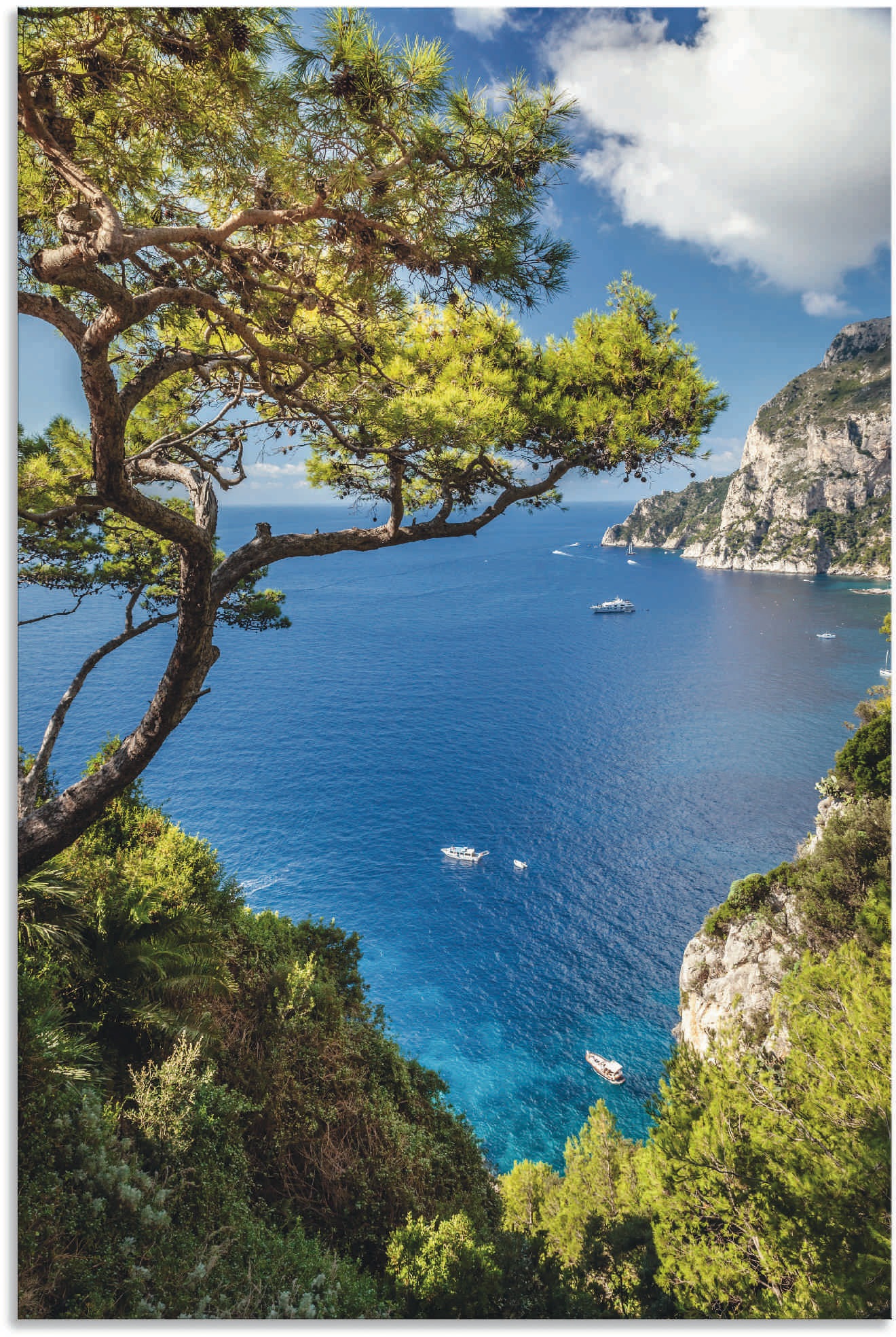 Artland Wandbild »Punta de Masullo, Insel Capri, Italien« Meer Bilder 1 Stk günstig online kaufen