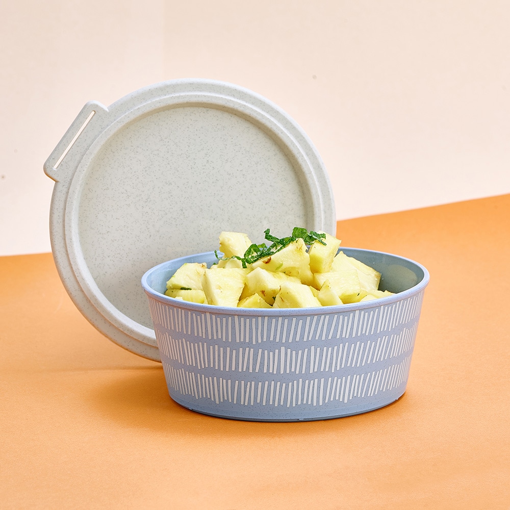 KOZIOL Aufbewahrungsschüssel »BLOMSTER BOX 1,3l LINE Schale 1,3l mit Deckel«