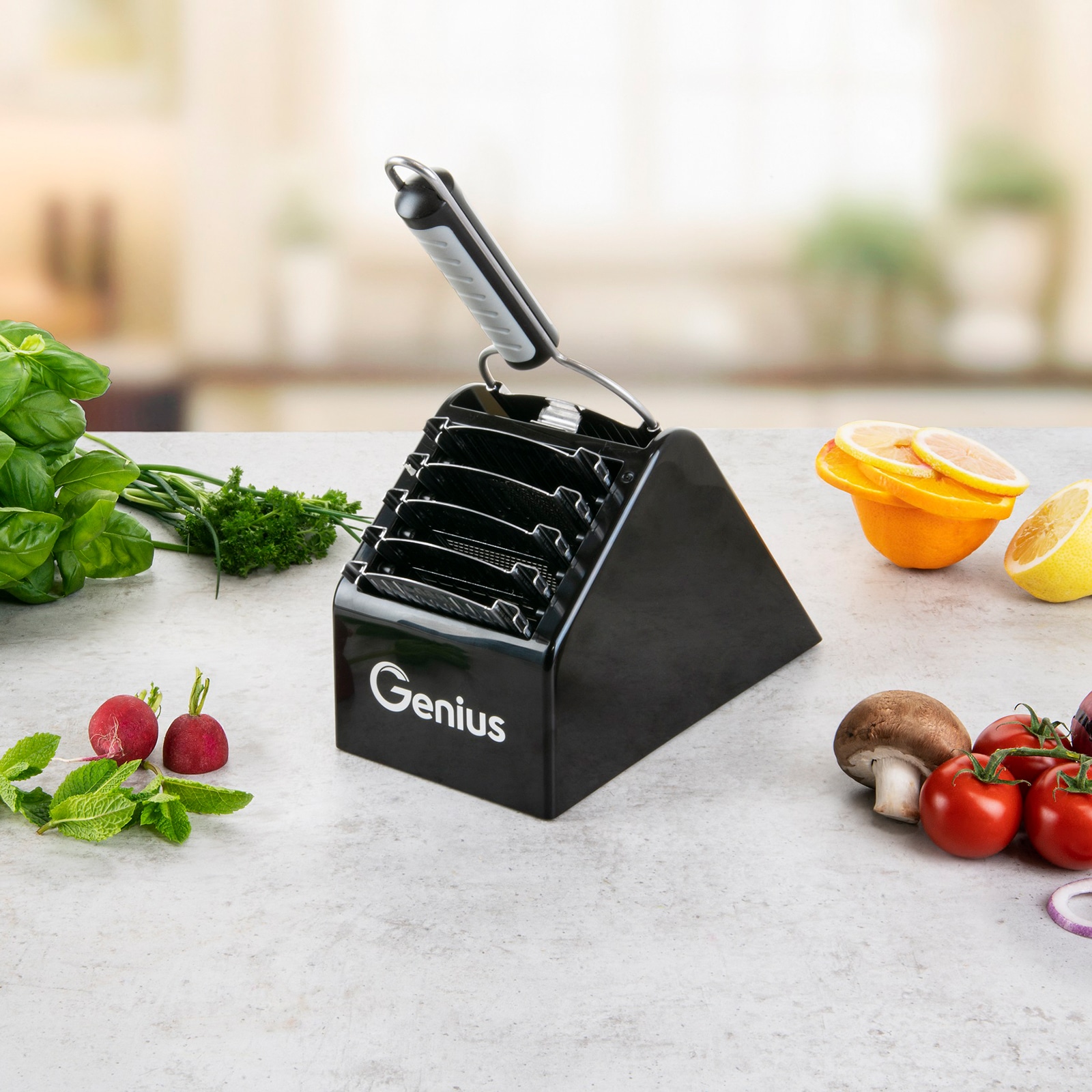 Genius Zubehöraufbewahrungsständer »Nicer Dicer Speed«, zum platzsparenden Verstauen des Nicer Dicer Speed inkl. Zubehör
