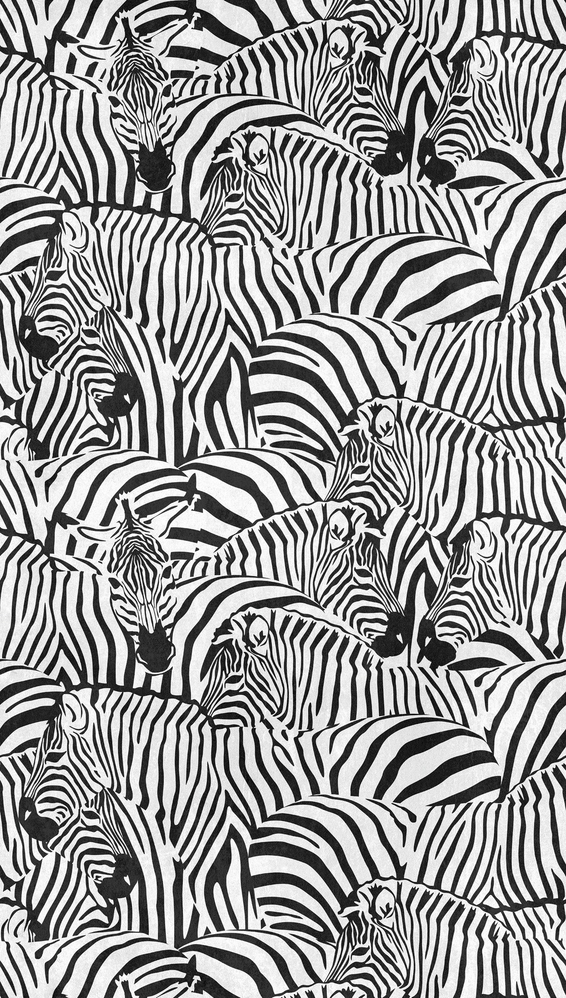 living walls Fototapete »THE WALL III Zebra Tapete Motivtapete Tiere Tiere«, matt, Vliestapete Tiere für Schlafzimmer Küche Wohnzimmer Zebra Design Flur