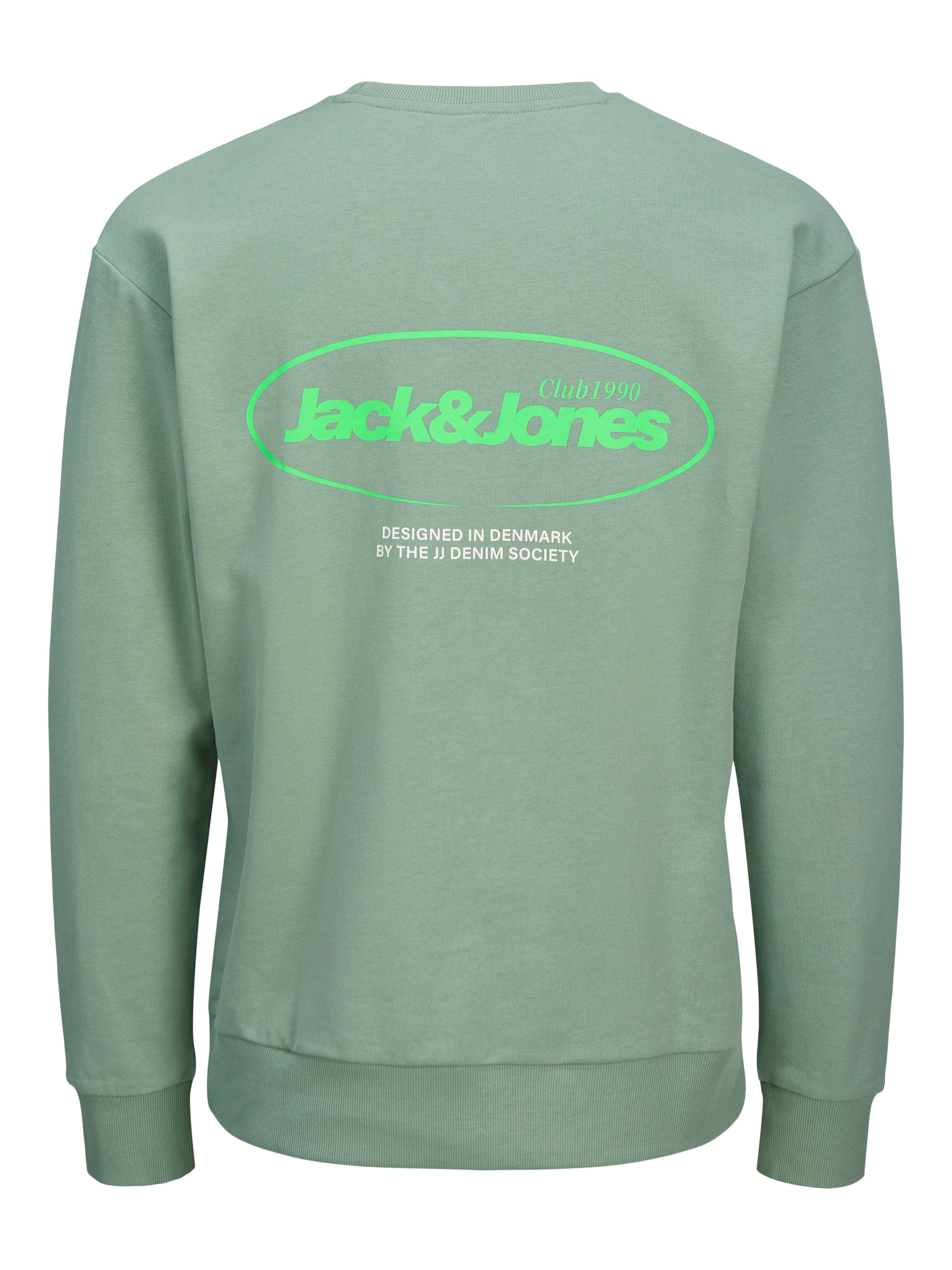 Jack & Jones Sweatshirt »JJEBRADLEY GRAPHIC SWEAT CREW NOOS«, mit Front und Back Print