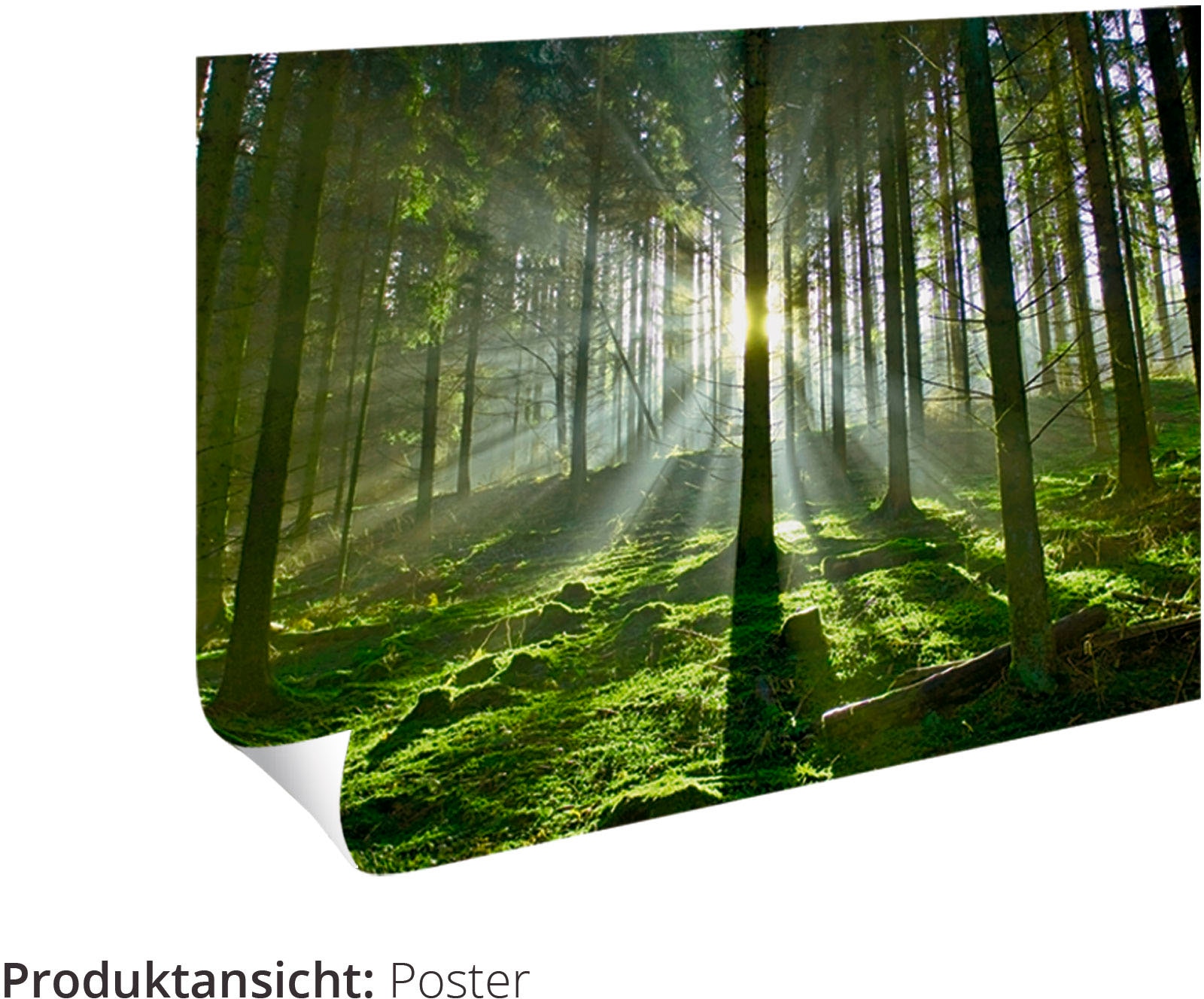 Artland Wandbild »Fensterblick Frühlingsmorgen«, Fensterblick, (1 St.), als Leinwandbild, Poster, Wandaufkleber in verschied. Größen