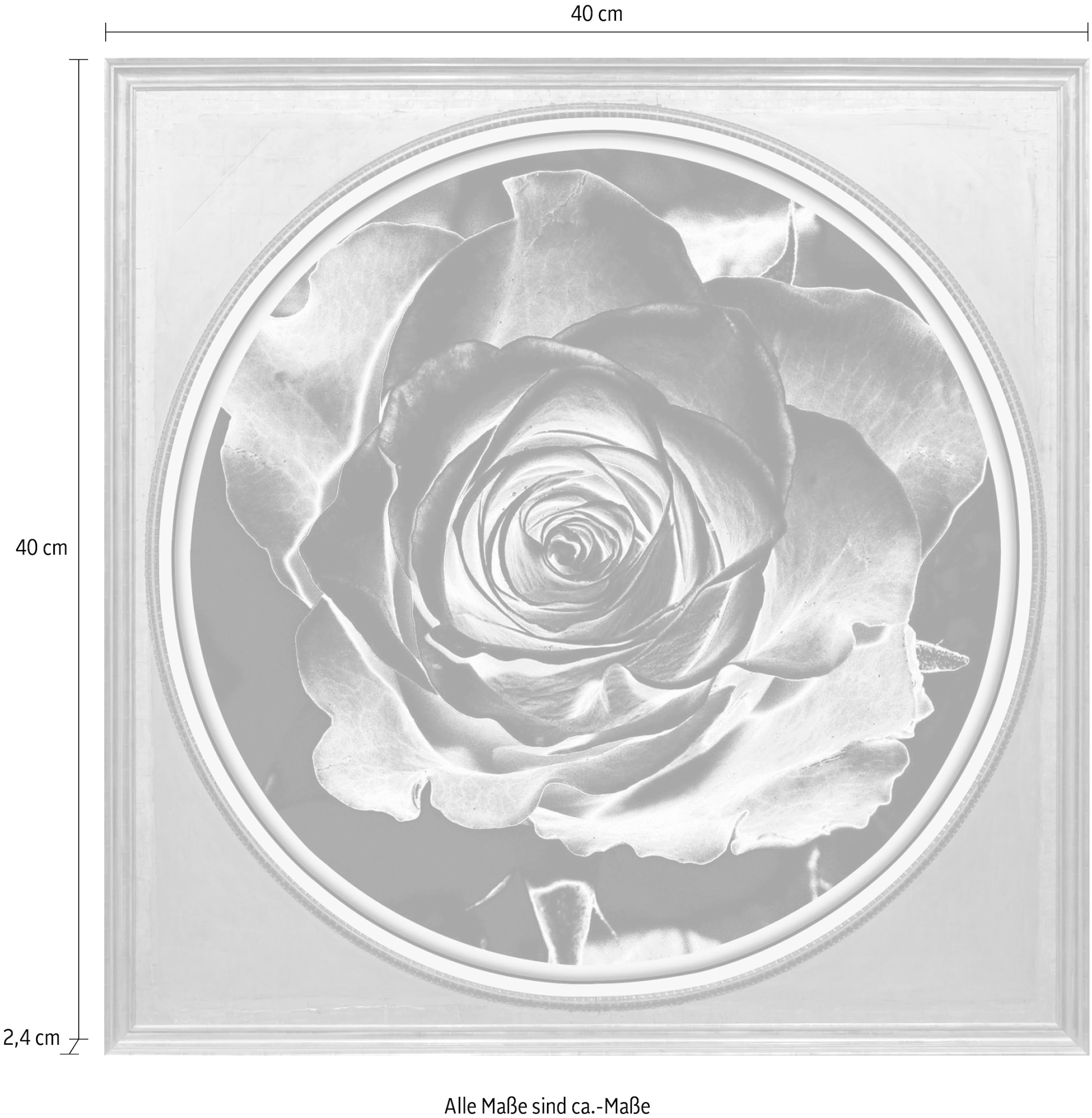 queence Acrylglasbild »Rose«, Blumen-Blumenbilder-Kunst-Pflanzen-Pflanzenbilder-Gemälde, Fine Art-Print in Galeriequalität