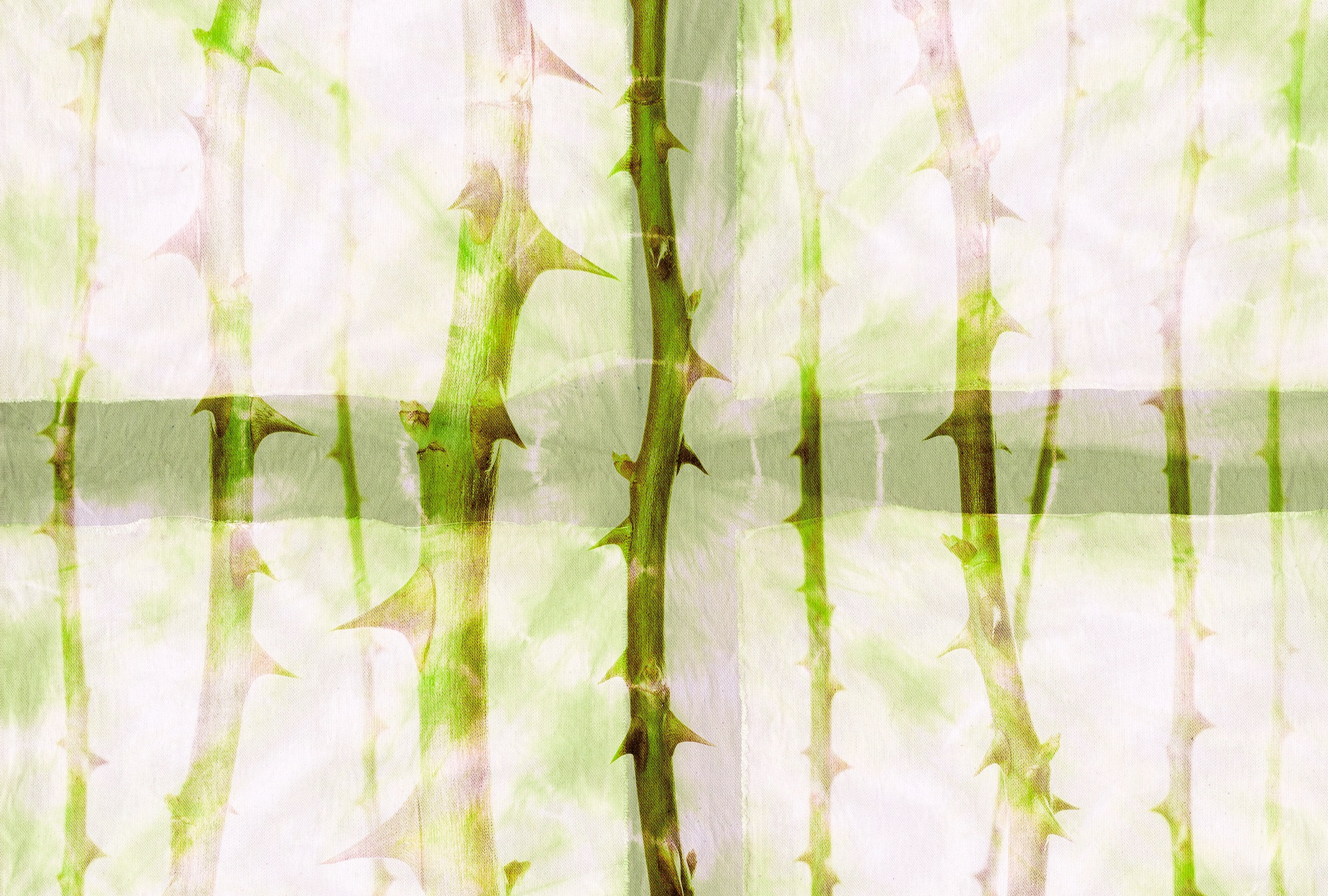 Architects Paper Fototapete »Atelier 47 Thorn Art 2« floral glatt Vlies, Wa günstig online kaufen
