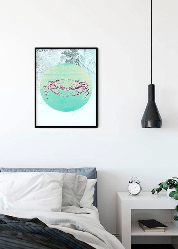 Komar Bild »Crab Sea« Tiere 1 Stk. tlg. Wandbild zur Dekoration - ohne Rahmen