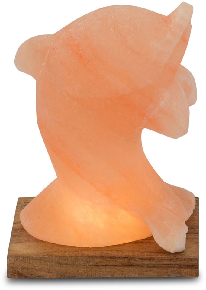 HIMALAYA SALT DREAMS Salzkristall-Tischlampe »Delfin«, Leuchtmittel LED-Mod günstig online kaufen