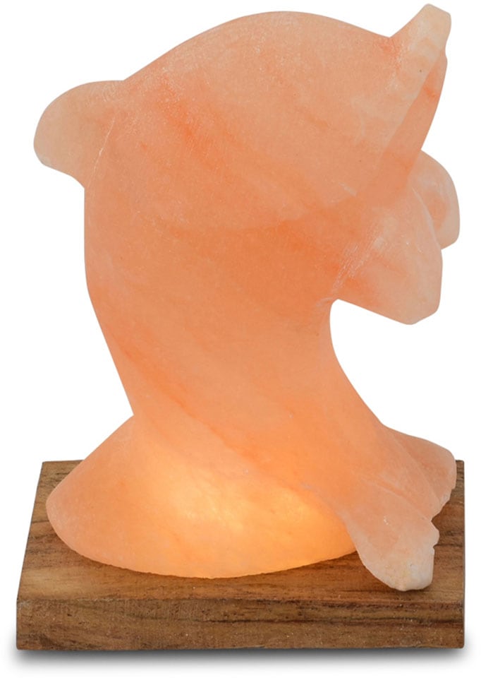HIMALAYA SALT DREAMS Salzkristall-Tischlampe »Delfin«, Leuchtmittel LED-Mod günstig online kaufen