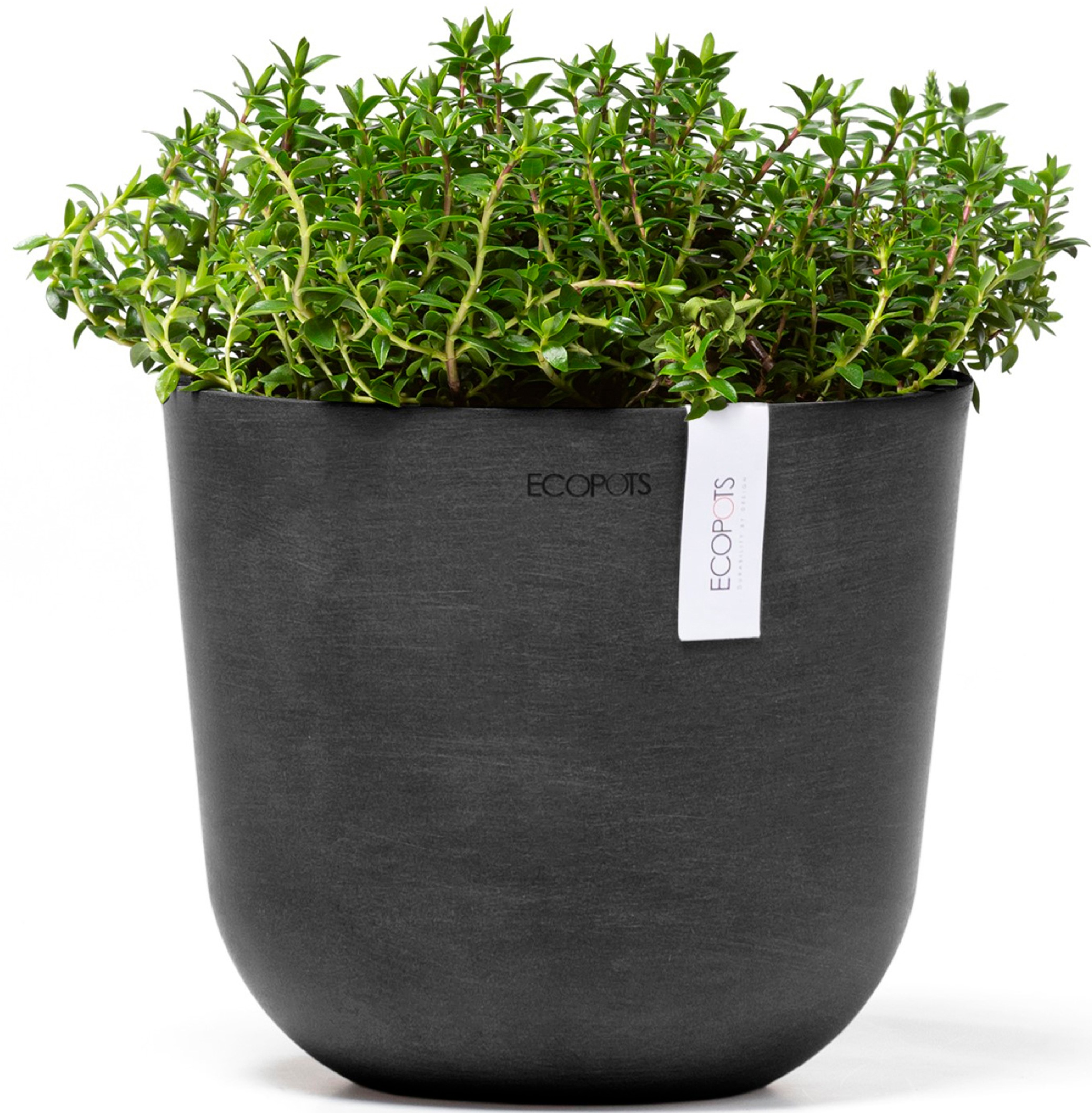 ECOPOTS Blumentopf »Oslo Mini 19 Dunkelgrau«, für den Innenbereich