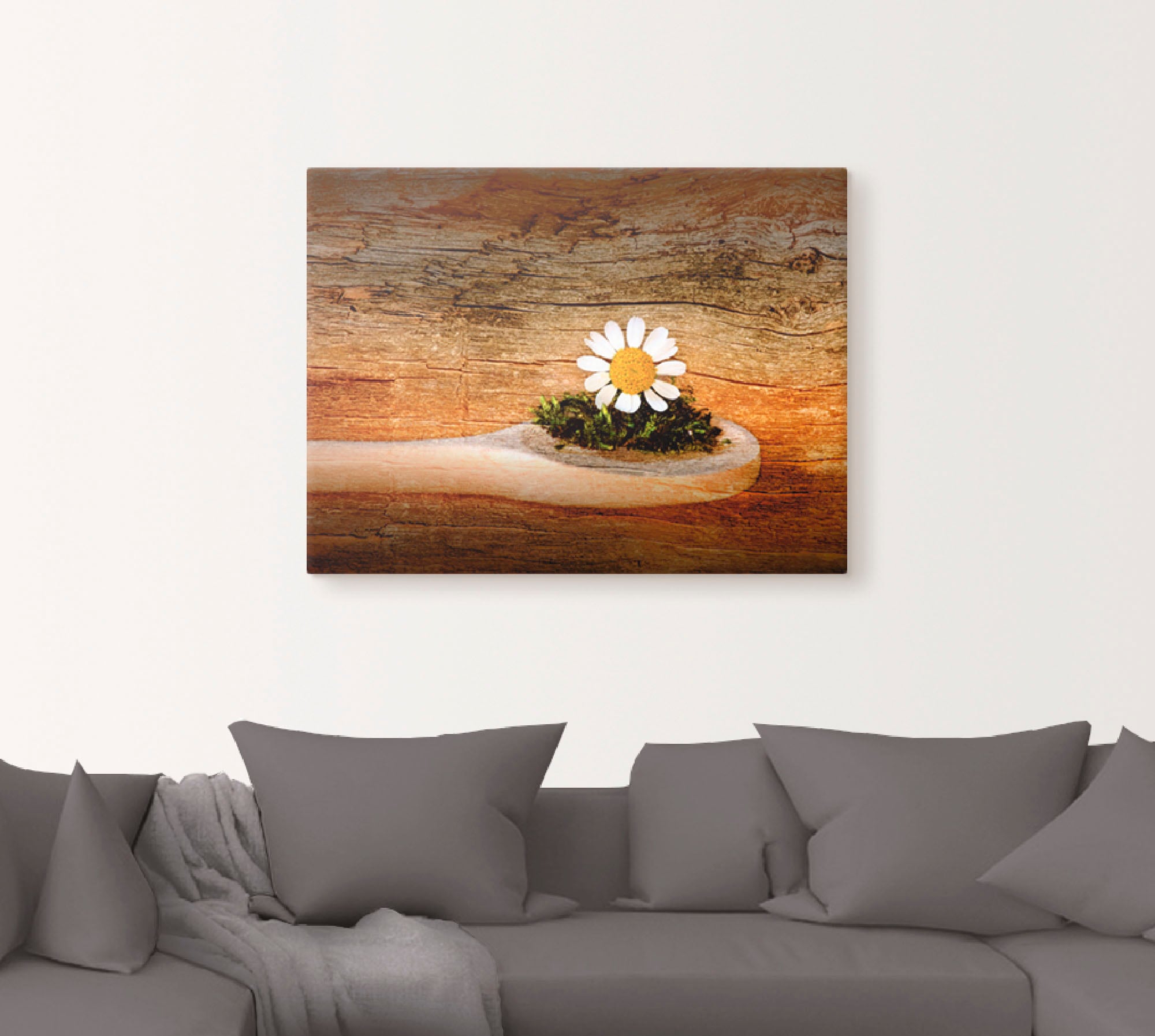 Artland Wandbild »Kamille«, Blumen, (1 St.), als Leinwandbild, Wandaufklebe günstig online kaufen