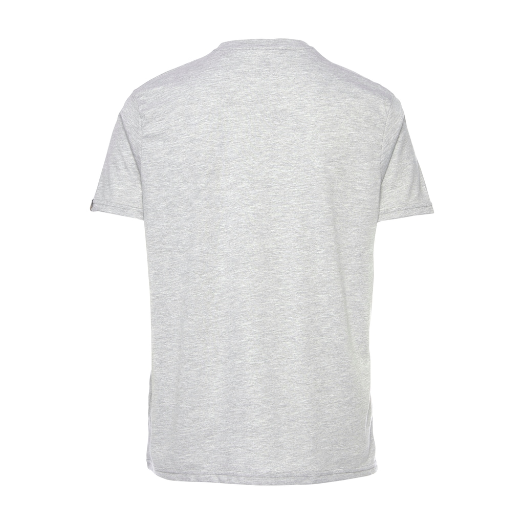 Alpha Industries T-Shirt »Basic T-Shirt«