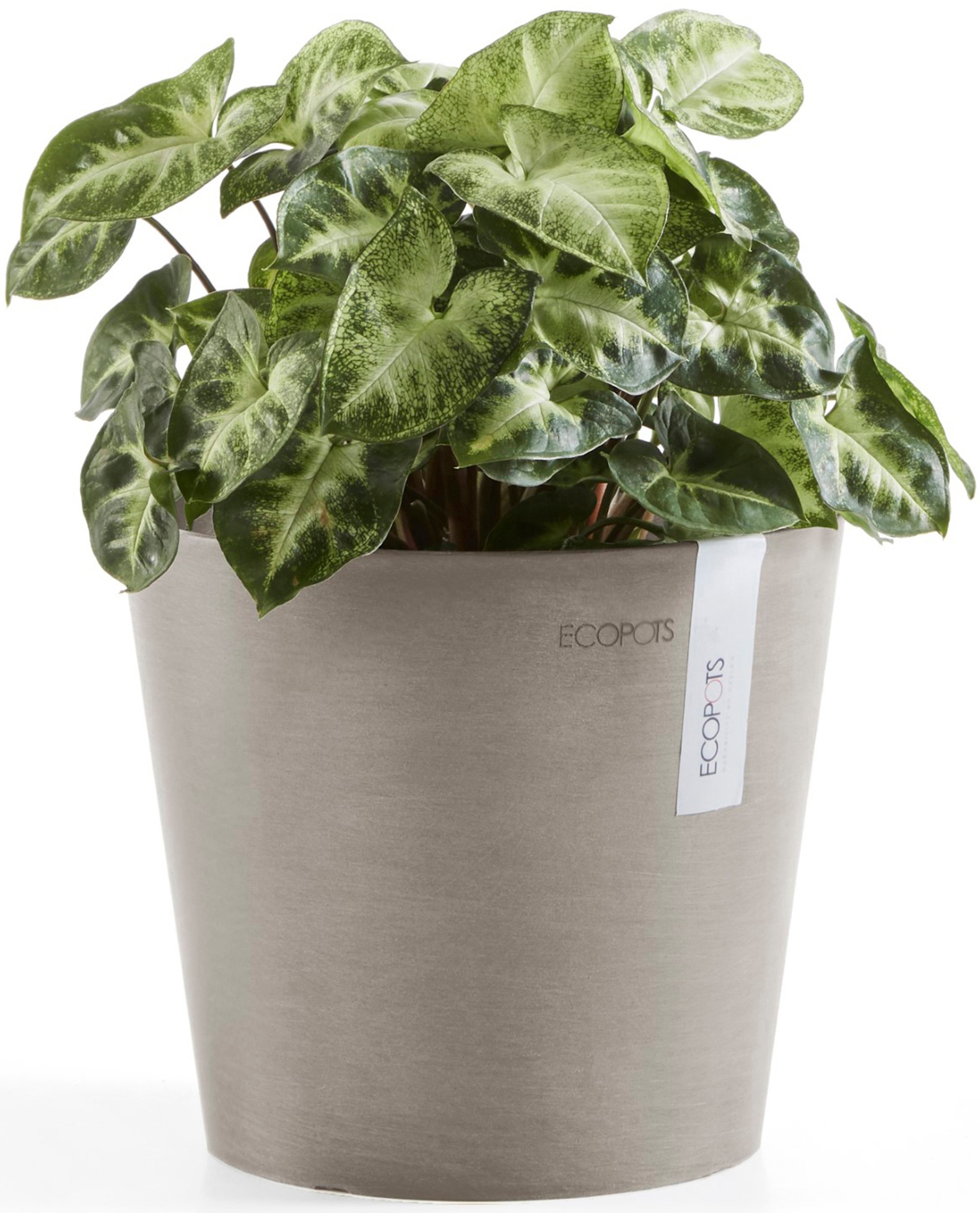 ECOPOTS Blumentopf »Amsterdam Mini 17 Taupe«, für den Innenbereich