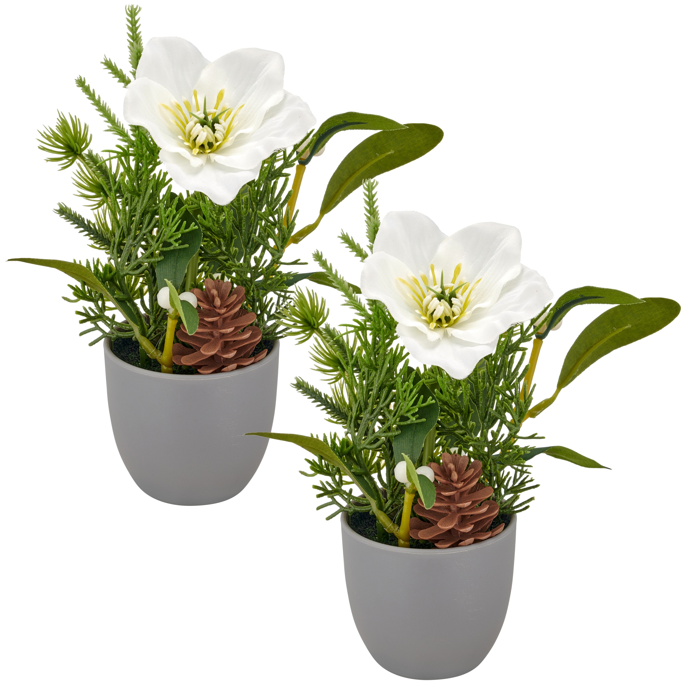 Creativ green Winterliche Kunstpflanze »Arrangement mit Christrose« mit Tannenzweigen und Zapfen