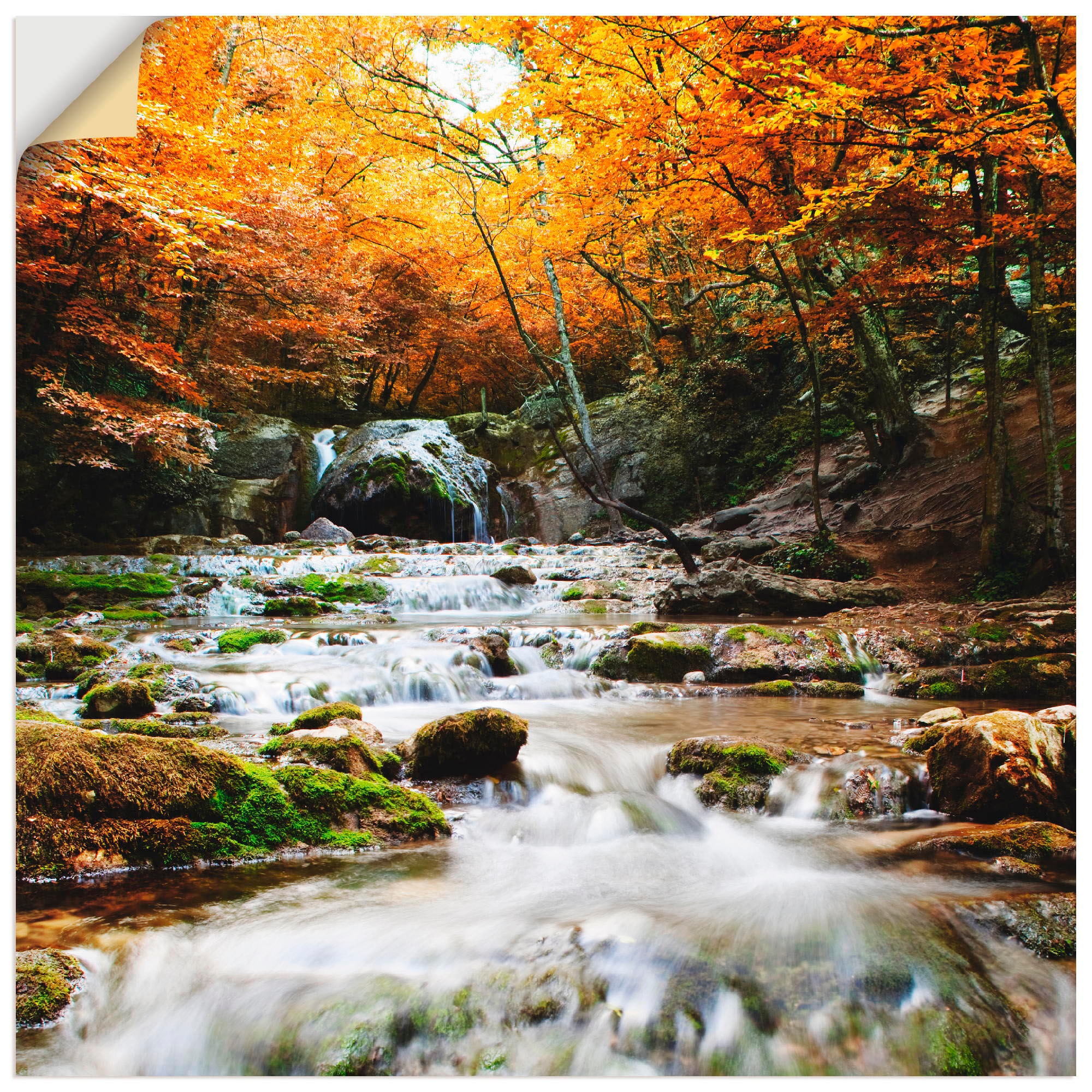 Artland Wandbild »Herbstlicher Wasserfall«, Gewässer, (1 St.), als Poster, günstig online kaufen