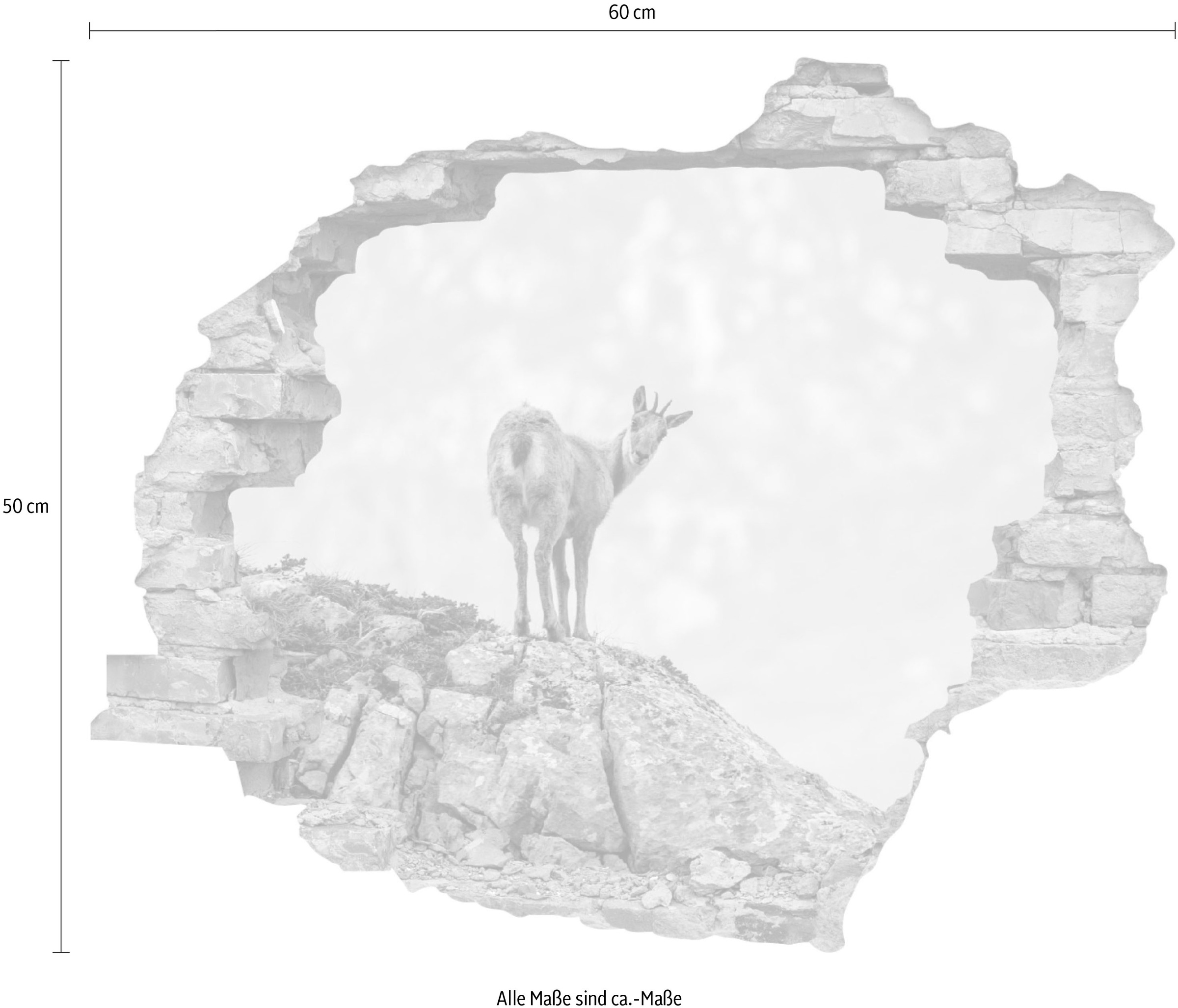 queence Wandtattoo »Gams« Wandsticker, Wandbild, selbstklebend, 3D, Wanddurchbruch