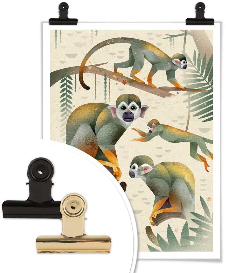 Wall-Art Poster Bild, St.), »Squirrel kaufen Wandposter online Tiere, Wandbild, Poster, Monkeys«, (1