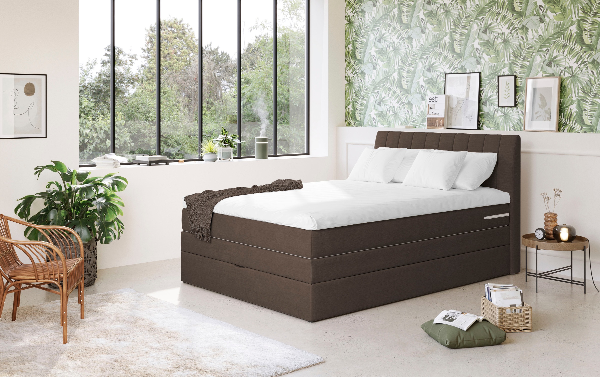 COTTA Boxspringbett »Shark inkl. Bettkasten und Topper«, erhältlich in den günstig online kaufen