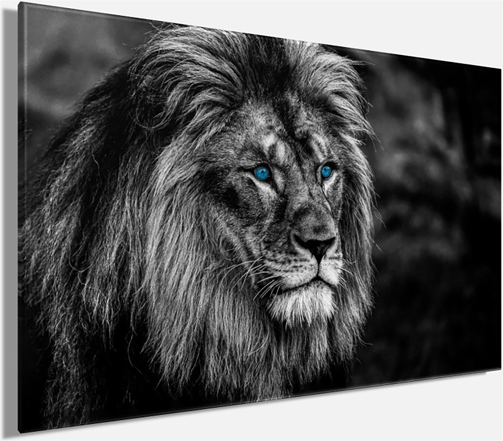 Bönninghoff Leinwandbild »Wandbild LÖWE 78x118 cm – Leinwandbild Keilrahmen Deko modern« Löwen 1 Stk. tlg. auf Keilrahmen gespannt