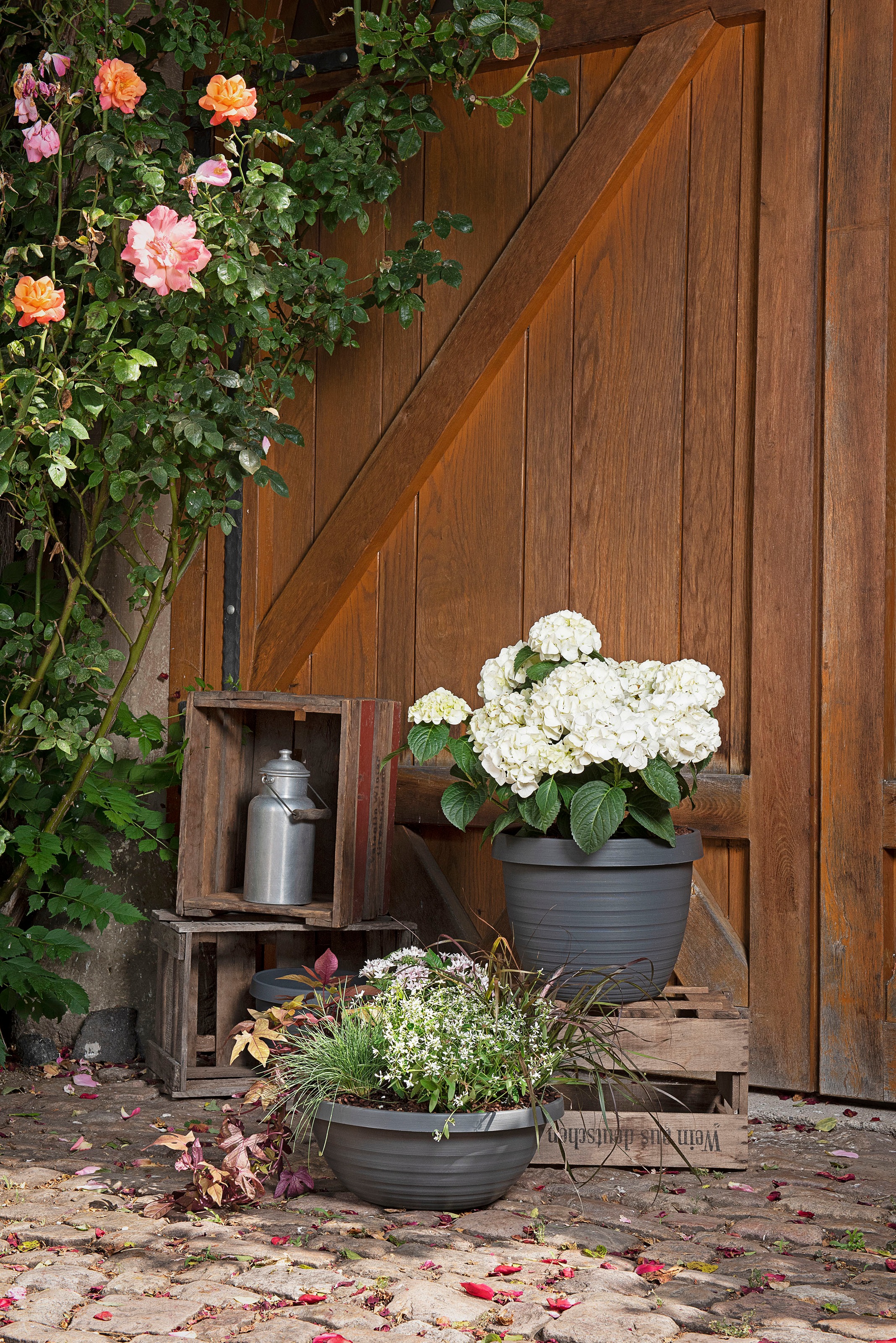 Scheurich Blumentopf »48/270 COUNTRY STAR 48«