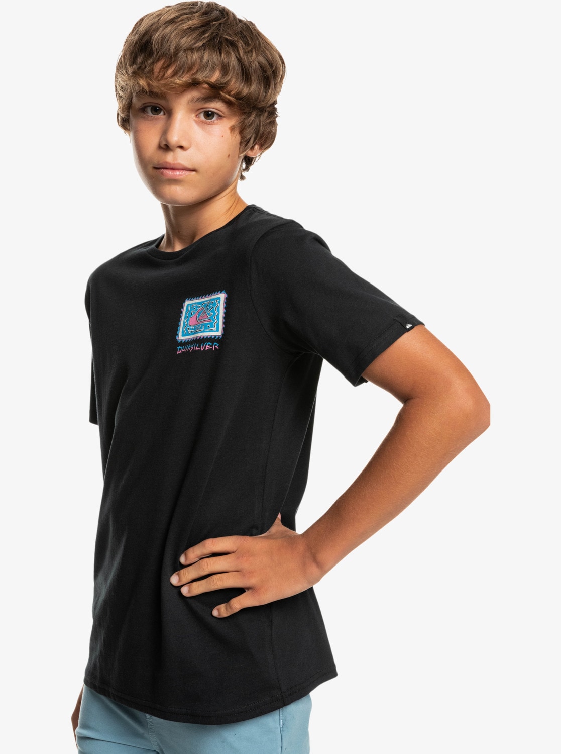 Quiksilver T-Shirt »Radical Roots«
