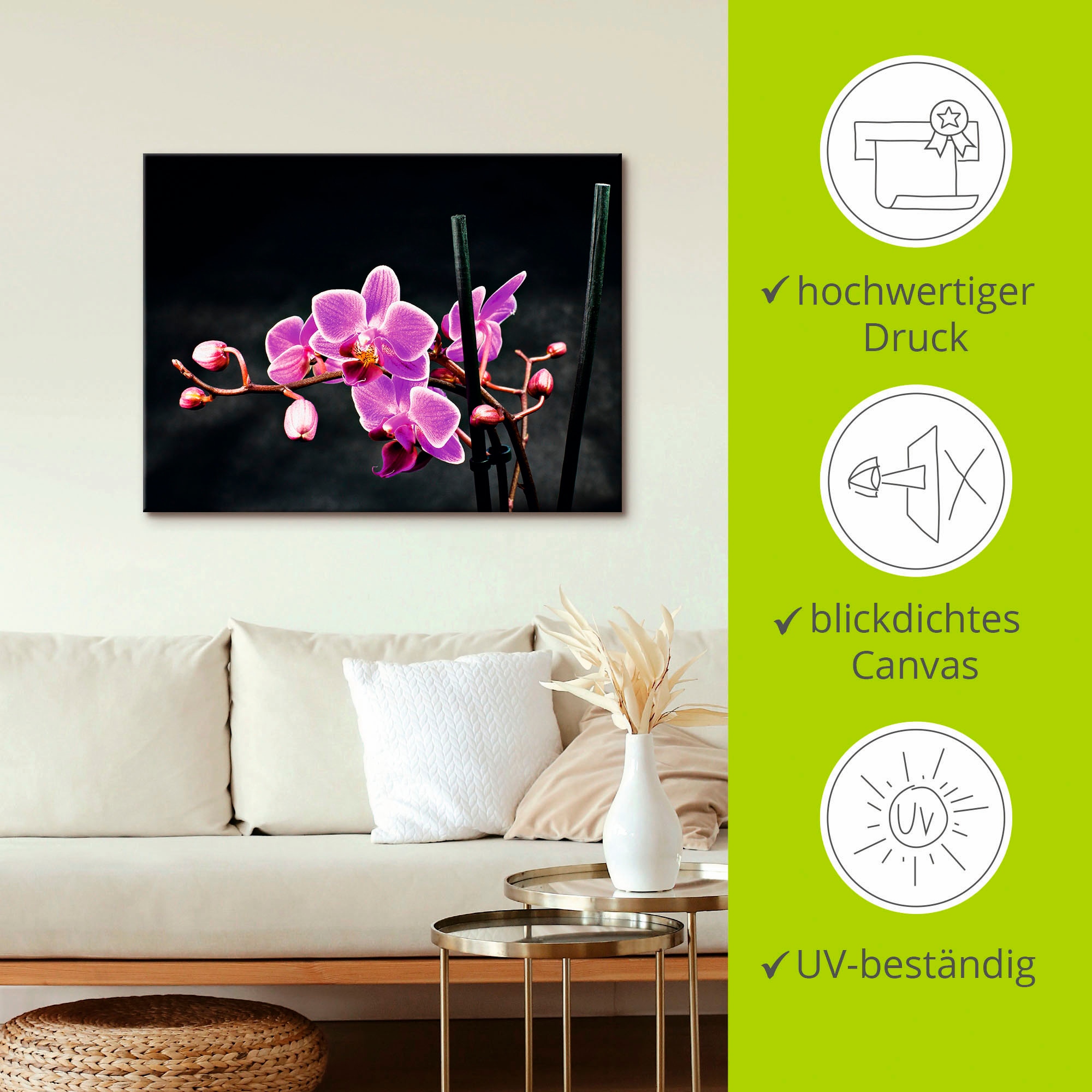 Artland Wandbild »Eine Orchidee vor schwarzem Hintergrund«, Blumen, (1 St.), als Leinwandbild, Poster, Wandaufkleber in verschied. Größen