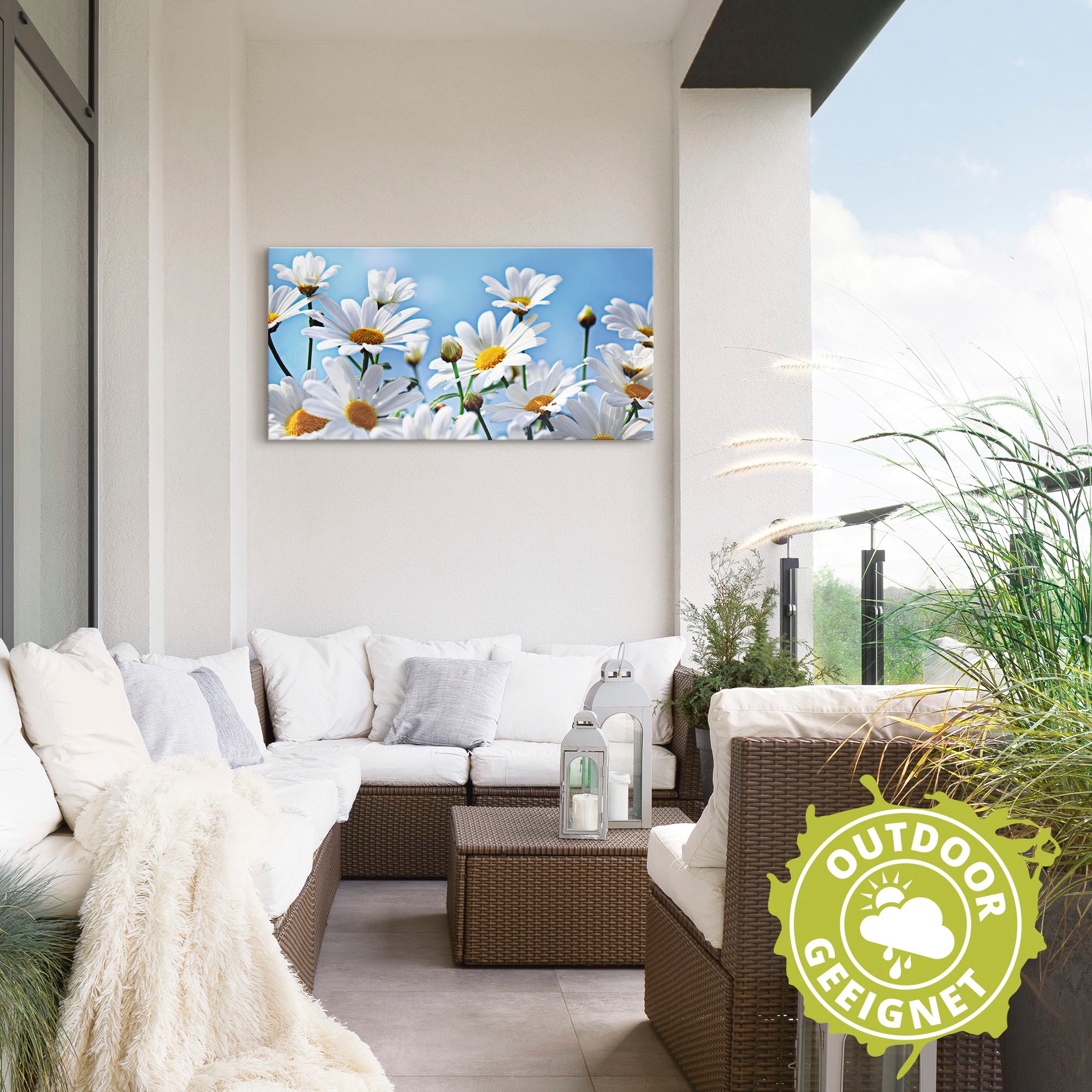 Artland Wandbild »Blumen - Margeriten«, Blumen, (1 St.), als Alubild, Outdoorbild, Leinwandbild in verschied. Größen