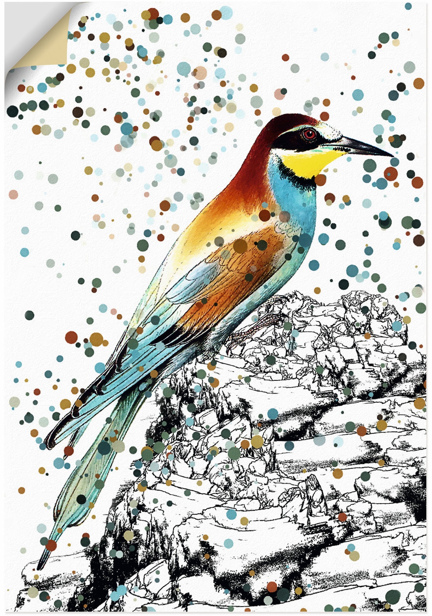 Artland Wandbild »Bienenfresser«, oder in Wandaufkleber (1 Alubild, online Poster versch. Vogelbilder, bestellen als Leinwandbild, Größen St.)