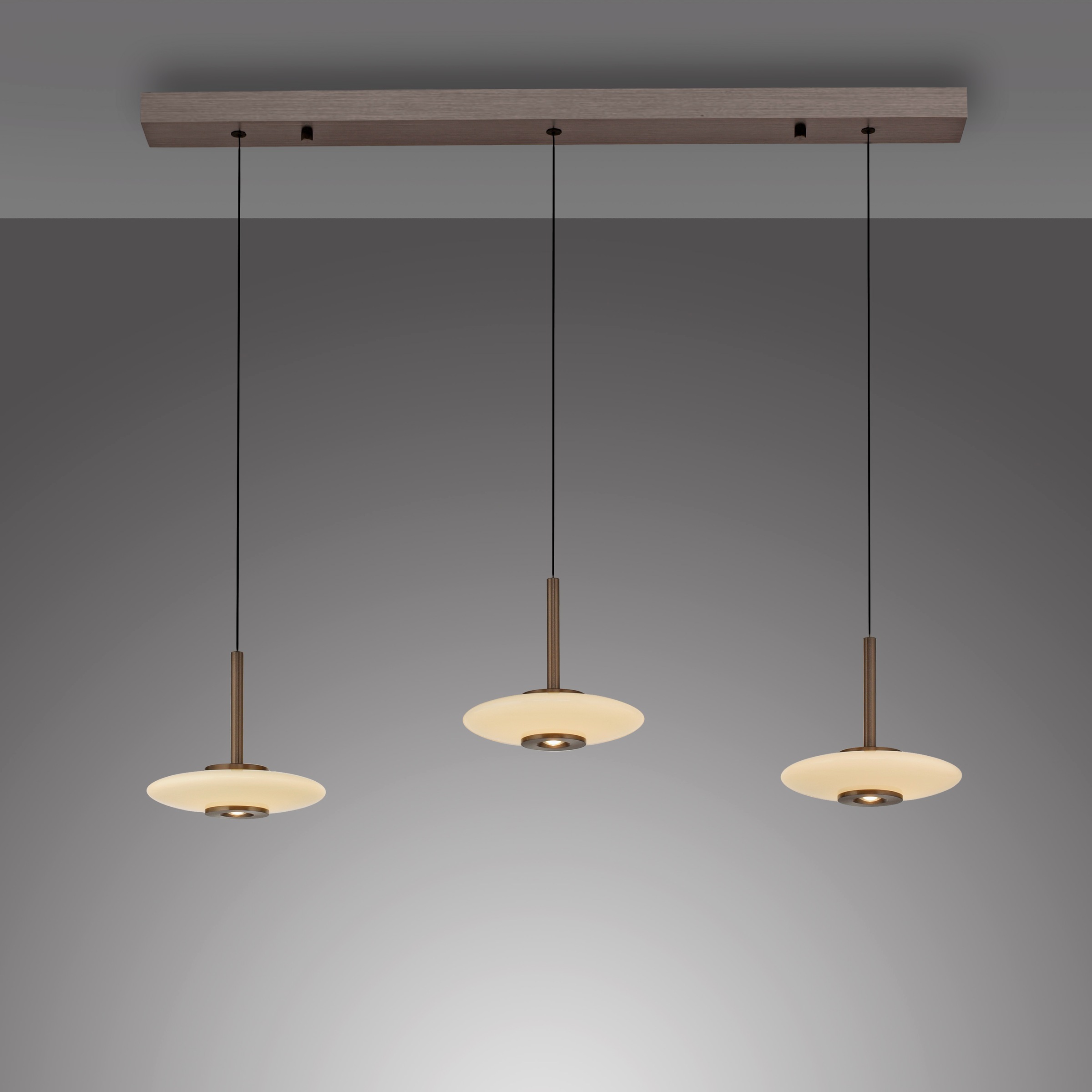 Neuhaus PURE LED Pendelleuchte »PURE Vitrum« LED-Board 1 Stk. Warmweiß Comfort Lift, dimmfähig über separaten Tronicdimmer