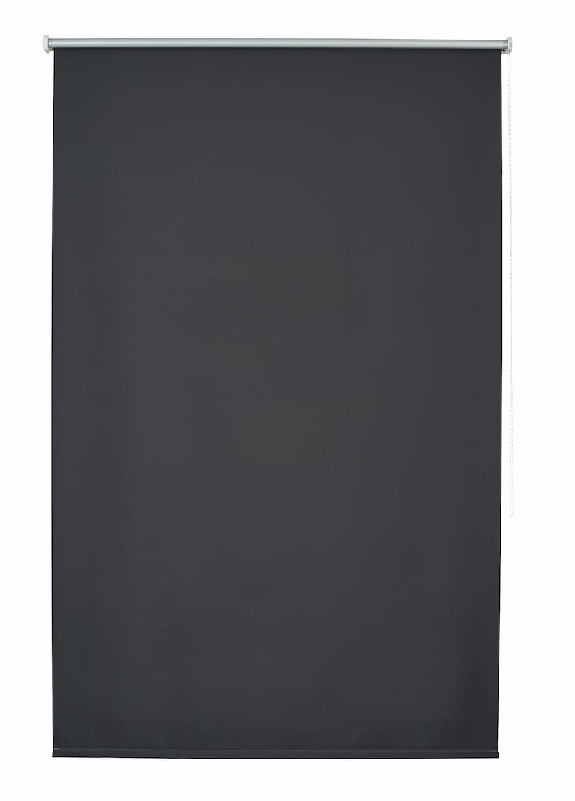 Liedeco Seitenzugrollo »Uni«, verdunkelnd, mit Bohren, freihängend, Welle  36 mm stabiler Kettenzug bequem und schnell bestellen