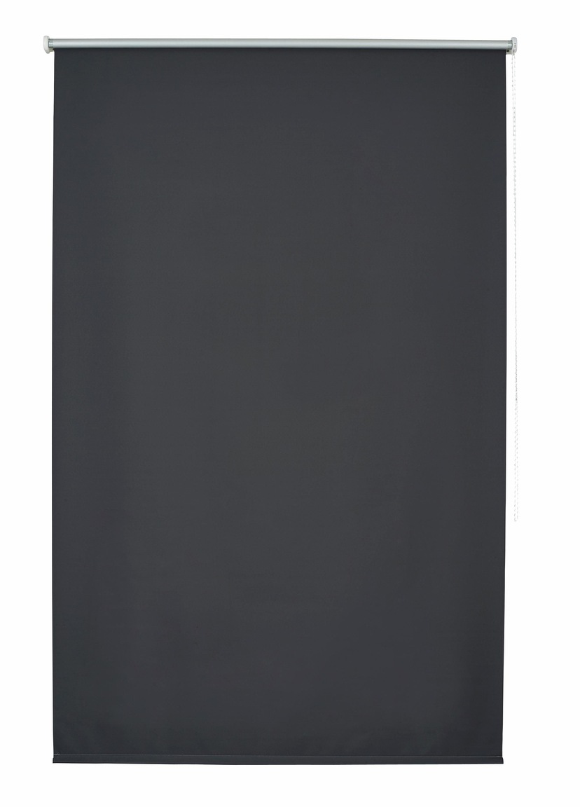 Liedeco Seitenzugrollo »Uni«, verdunkelnd, mit Bohren, freihängend, Welle  36 mm stabiler Kettenzug bequem und schnell bestellen | Verdunkelungsrollos