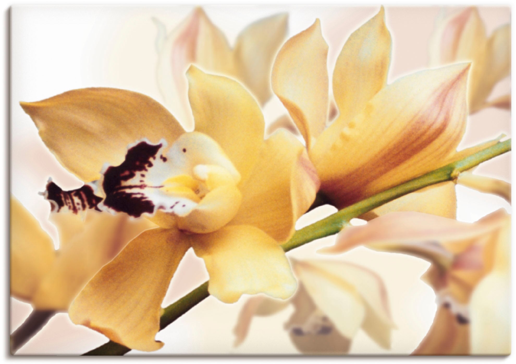 Artland Wandbild »Gelbe Orchidee« Blumenbilder 1 Stk. tlg. als Alubild, Out günstig online kaufen