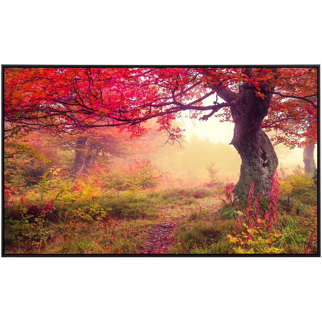 Papermoon Infrarotheizung »Herbstbäume«