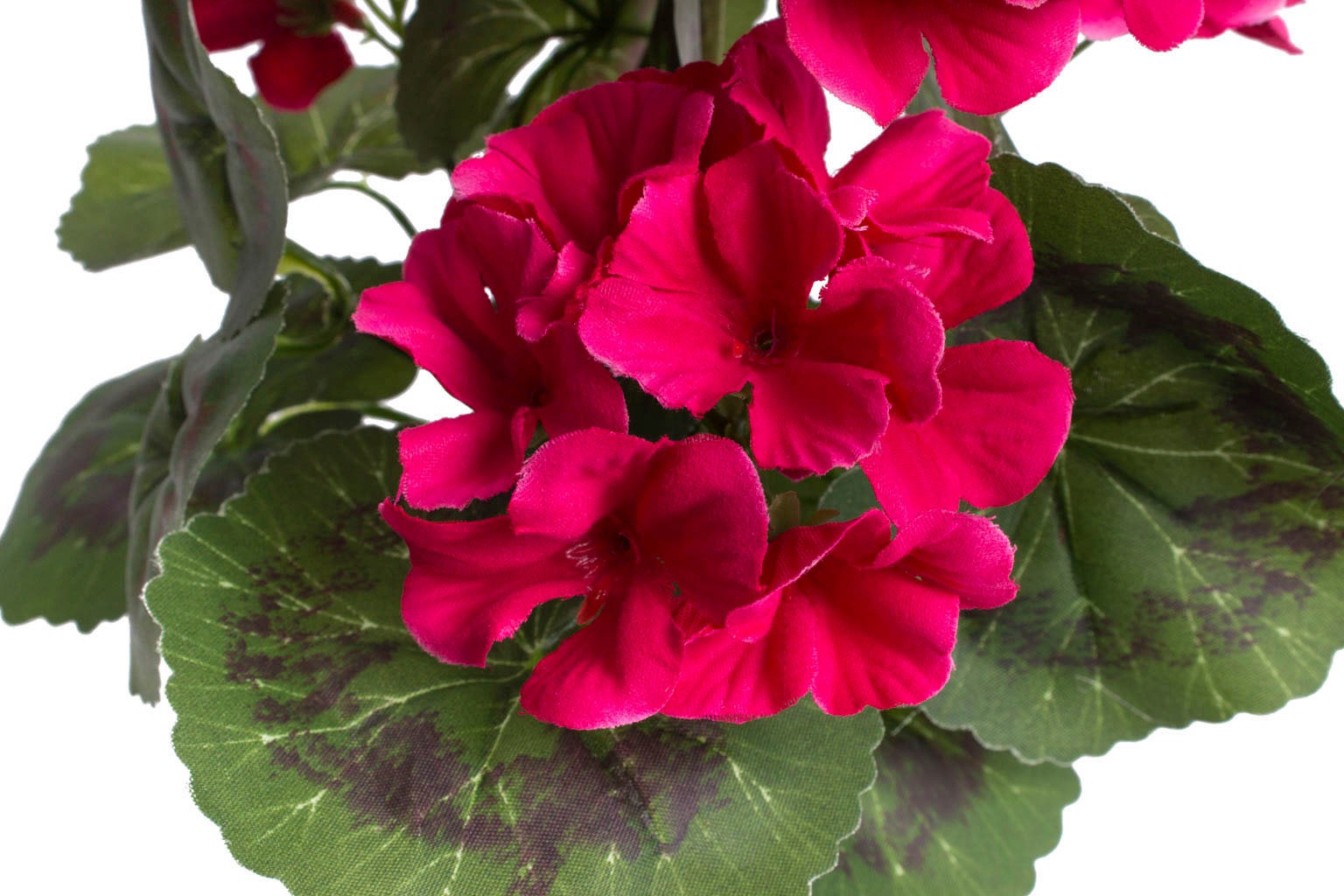 Botanic-Haus Kunstblume »Geranienbusch mit 6 Blütenköpfen«
