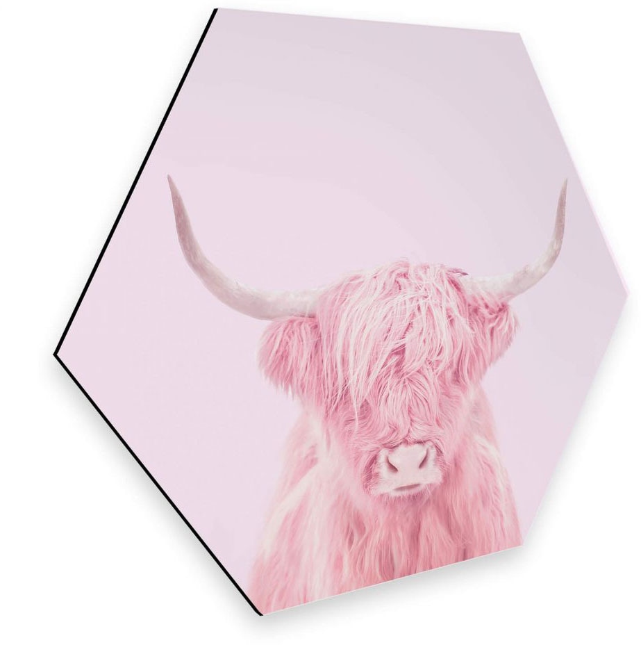 Wall-Art Metallbild »Hochland Rind (1 Rechnung auf St.) Rosa Türschild«, kaufen